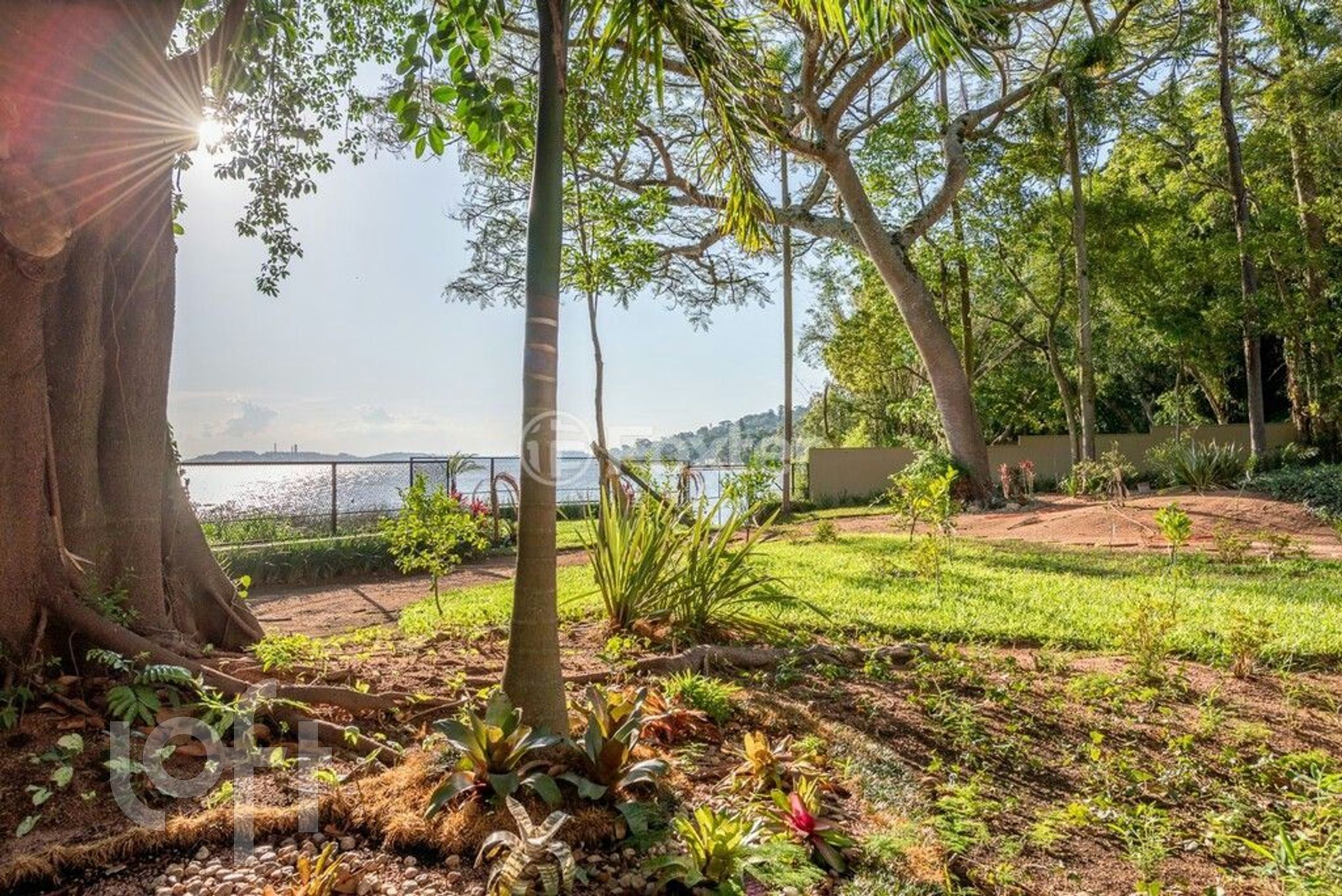 Imagem da propriedade 62