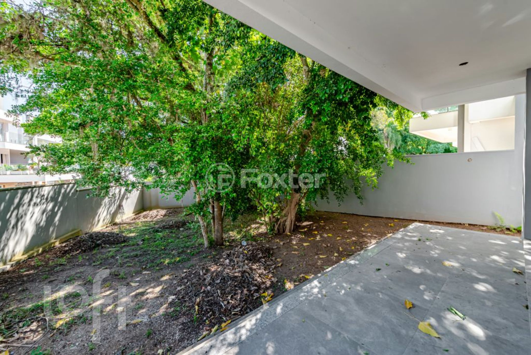 Imagem da propriedade 9