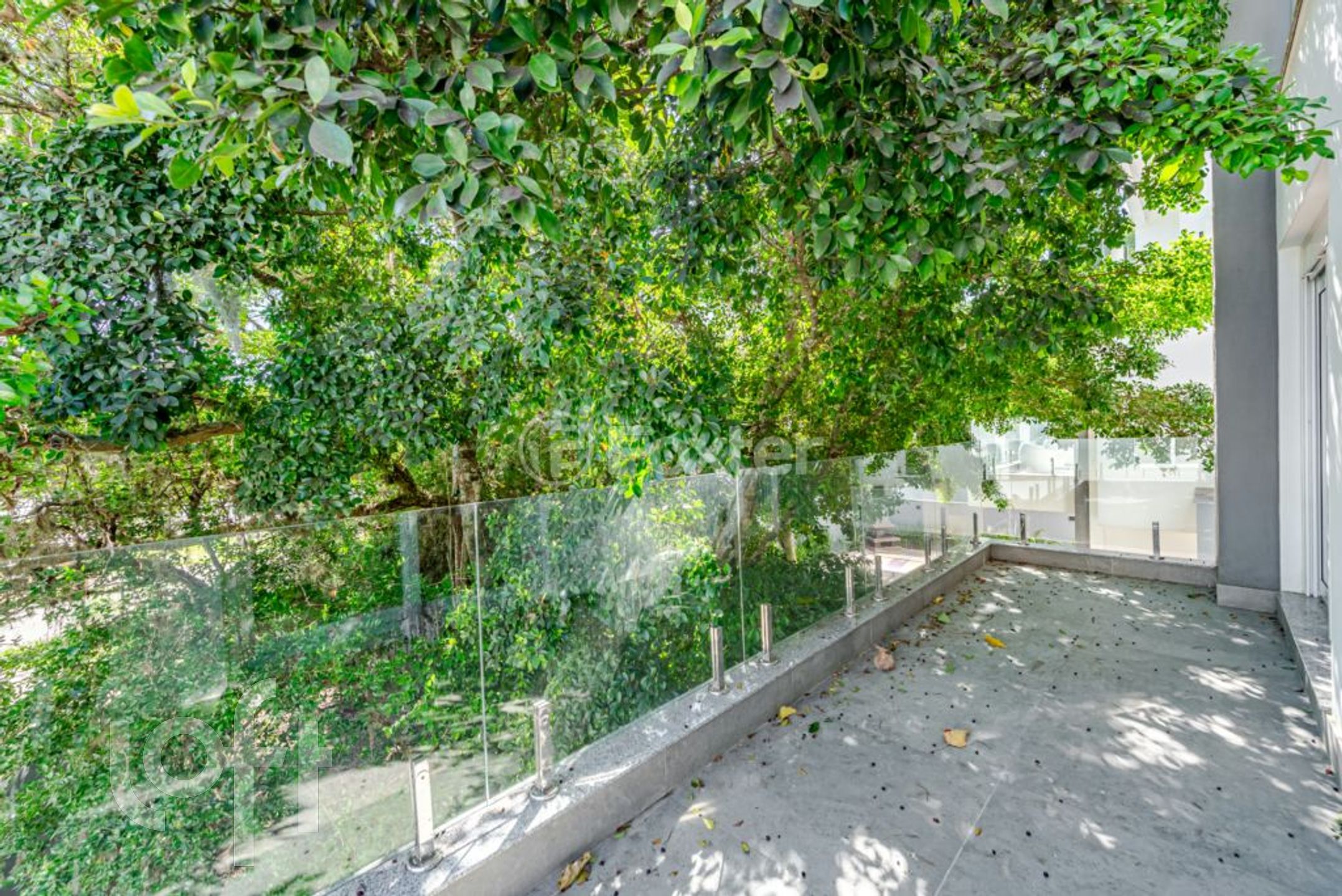 Imagem da propriedade 46