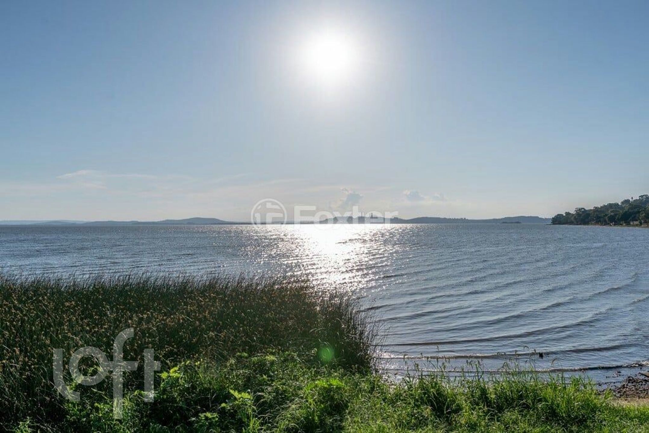 Imagem da propriedade 67