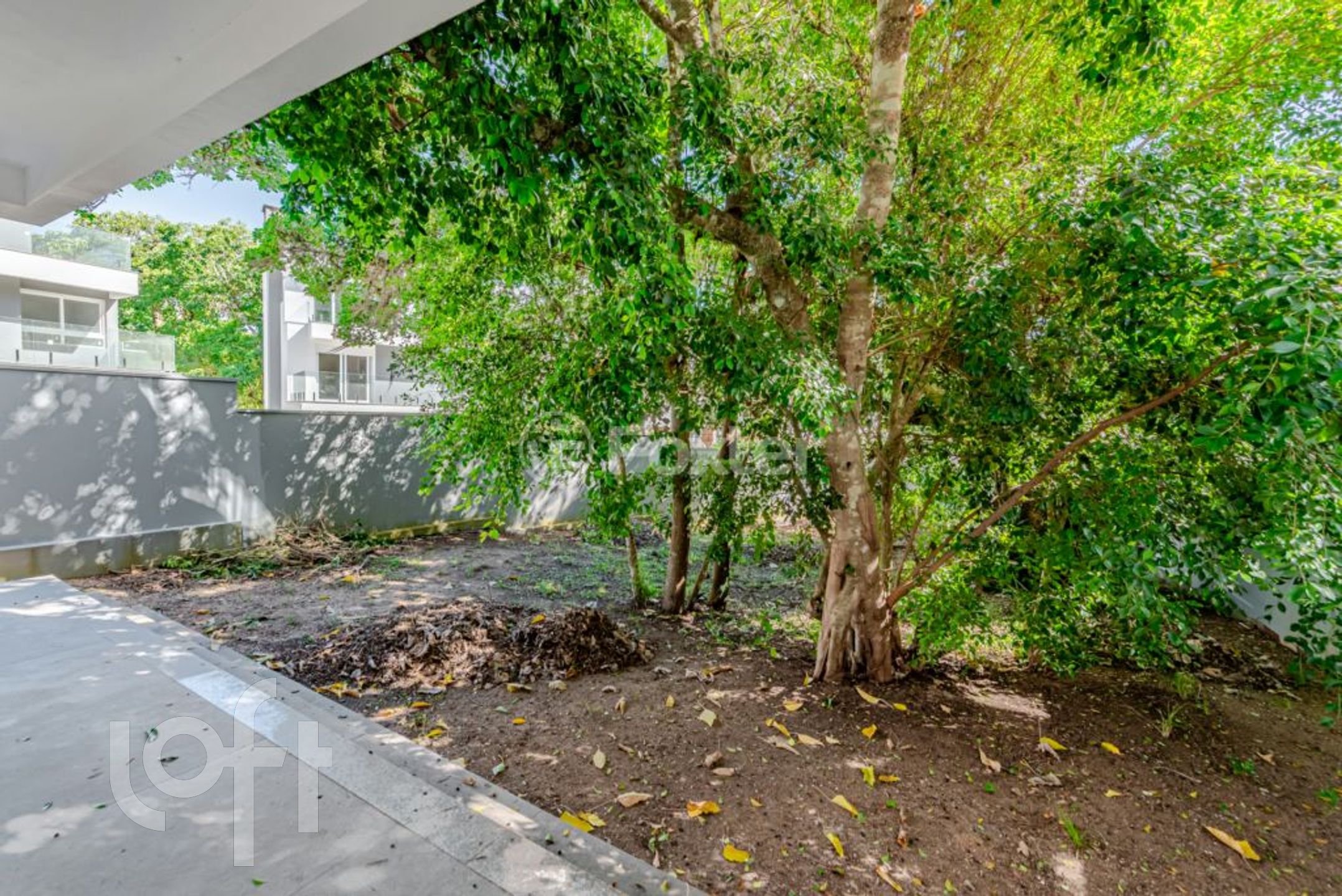 Imagem da propriedade 12