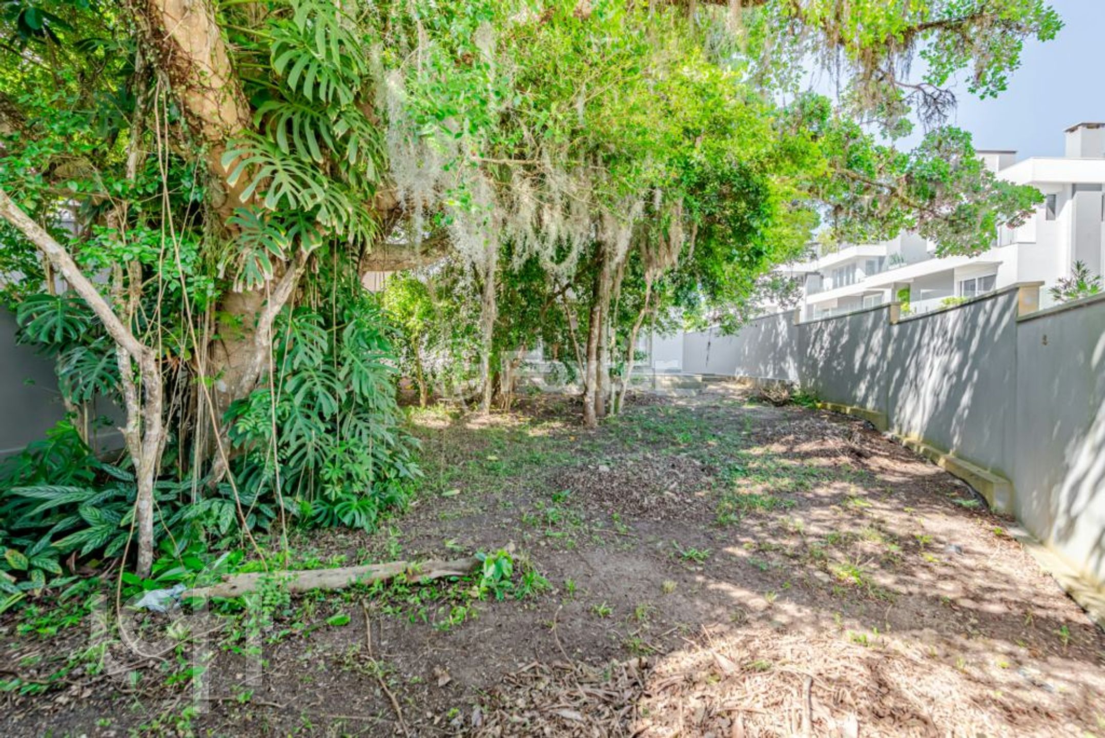 Imagem da propriedade 11