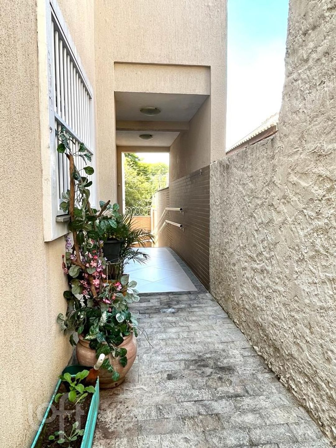 Imagem da propriedade 35