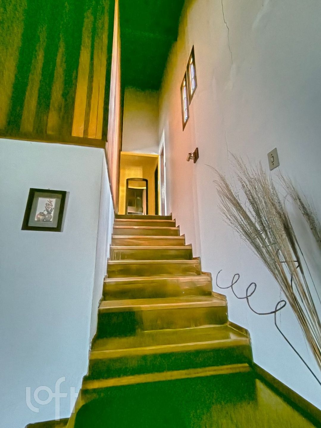 Imagem da propriedade 5