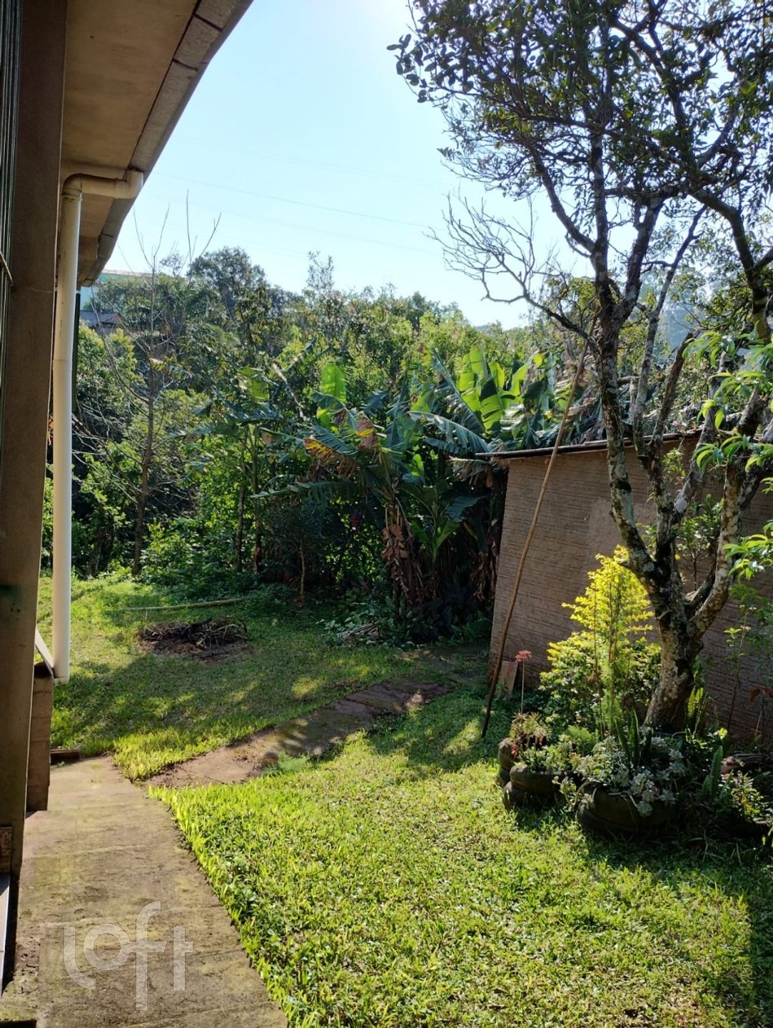 Imagem da propriedade 5