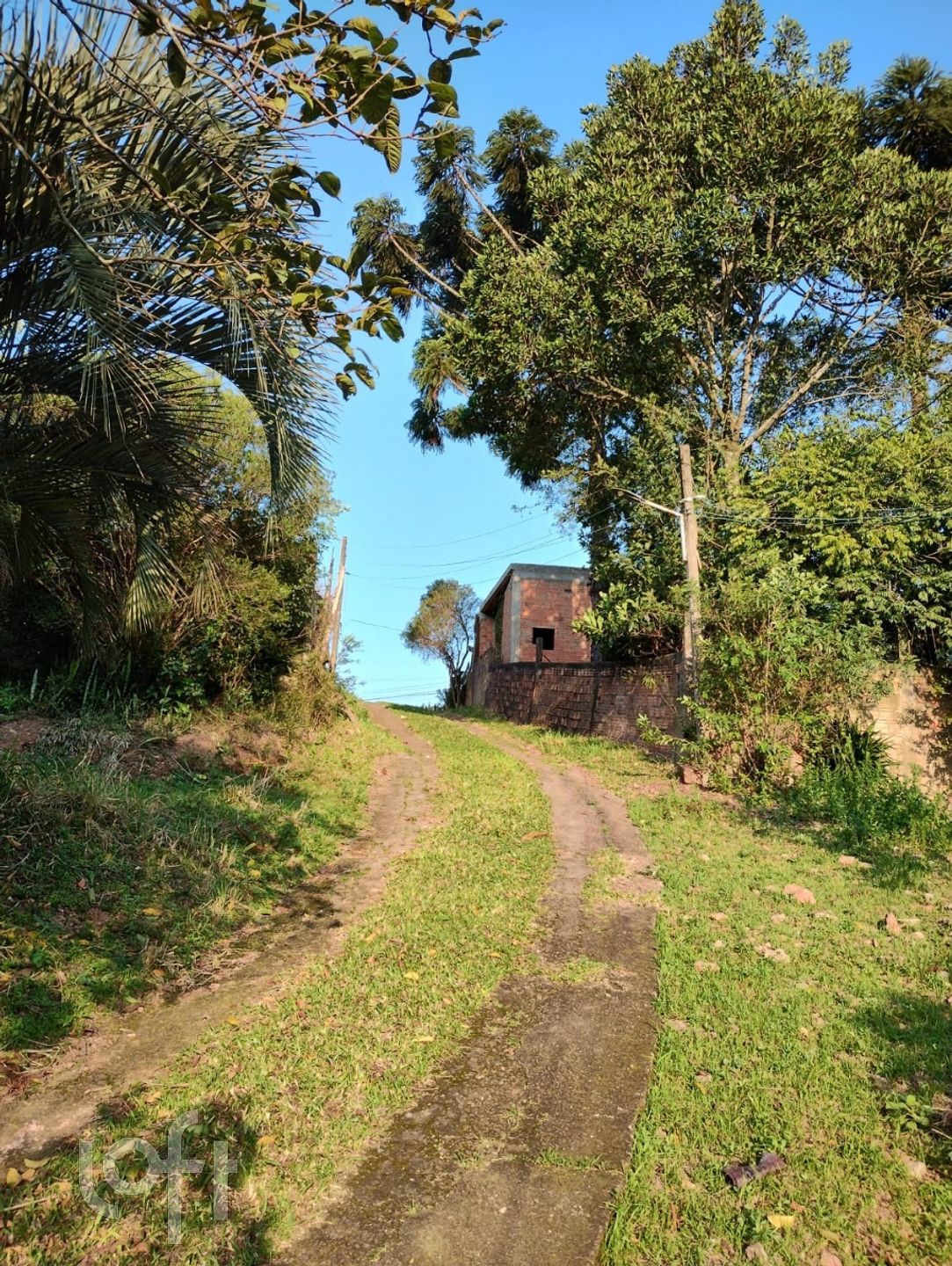 Imagem da propriedade 21