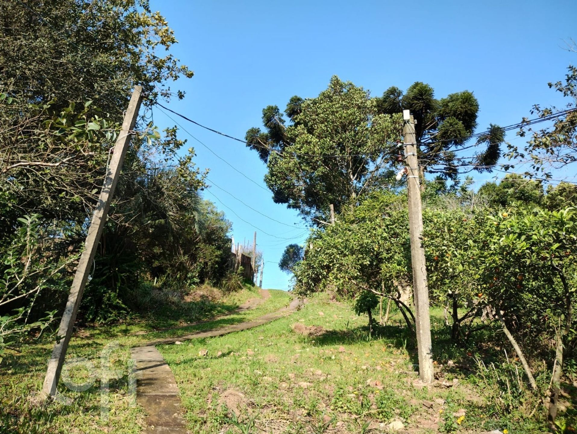 Imagem da propriedade 11