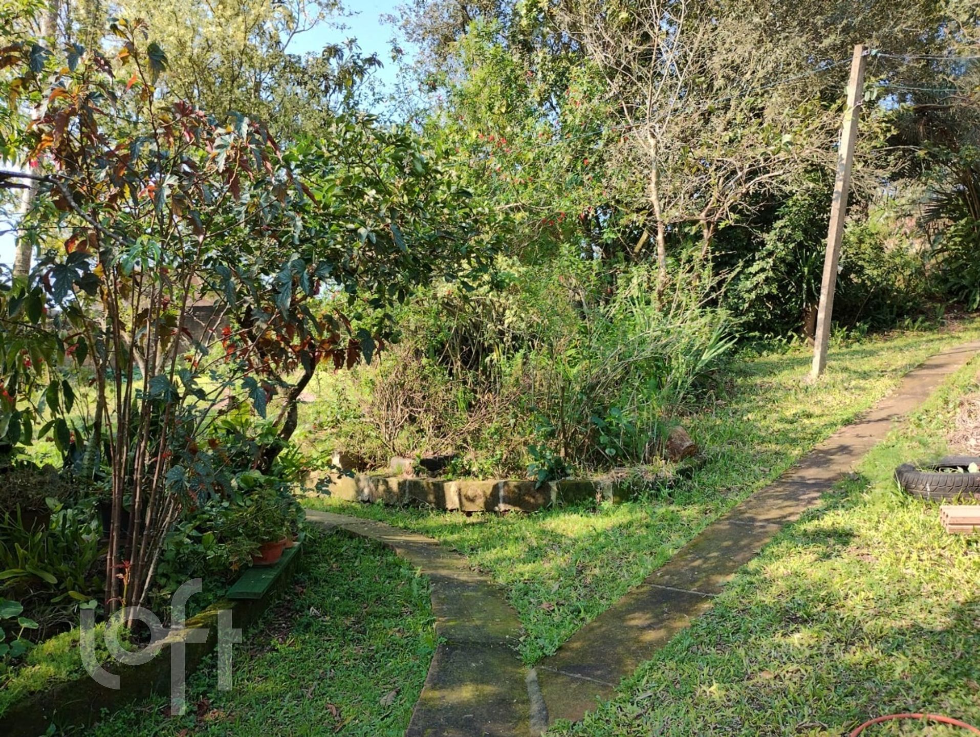 Imagem da propriedade 8