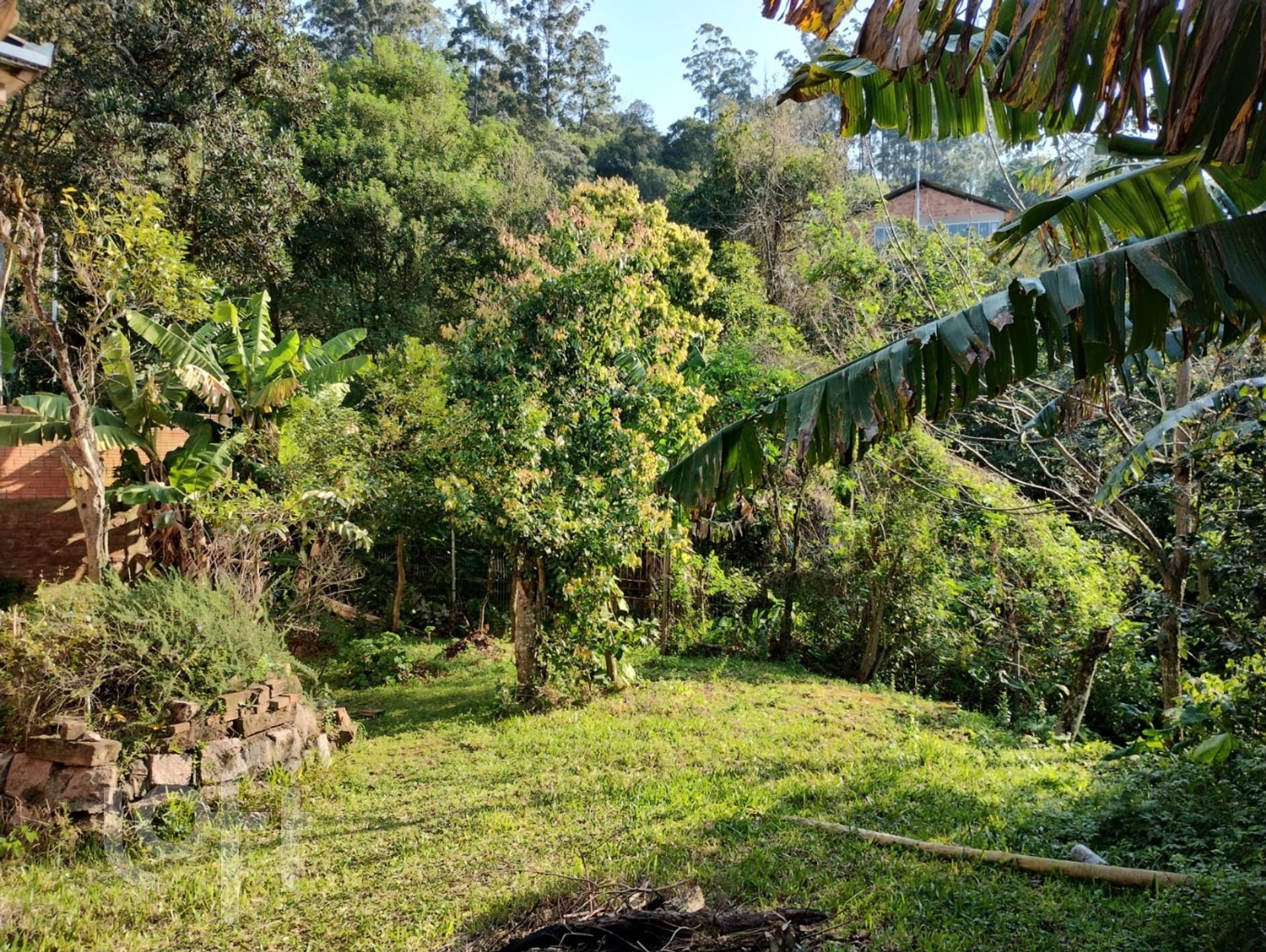 Imagem da propriedade 18