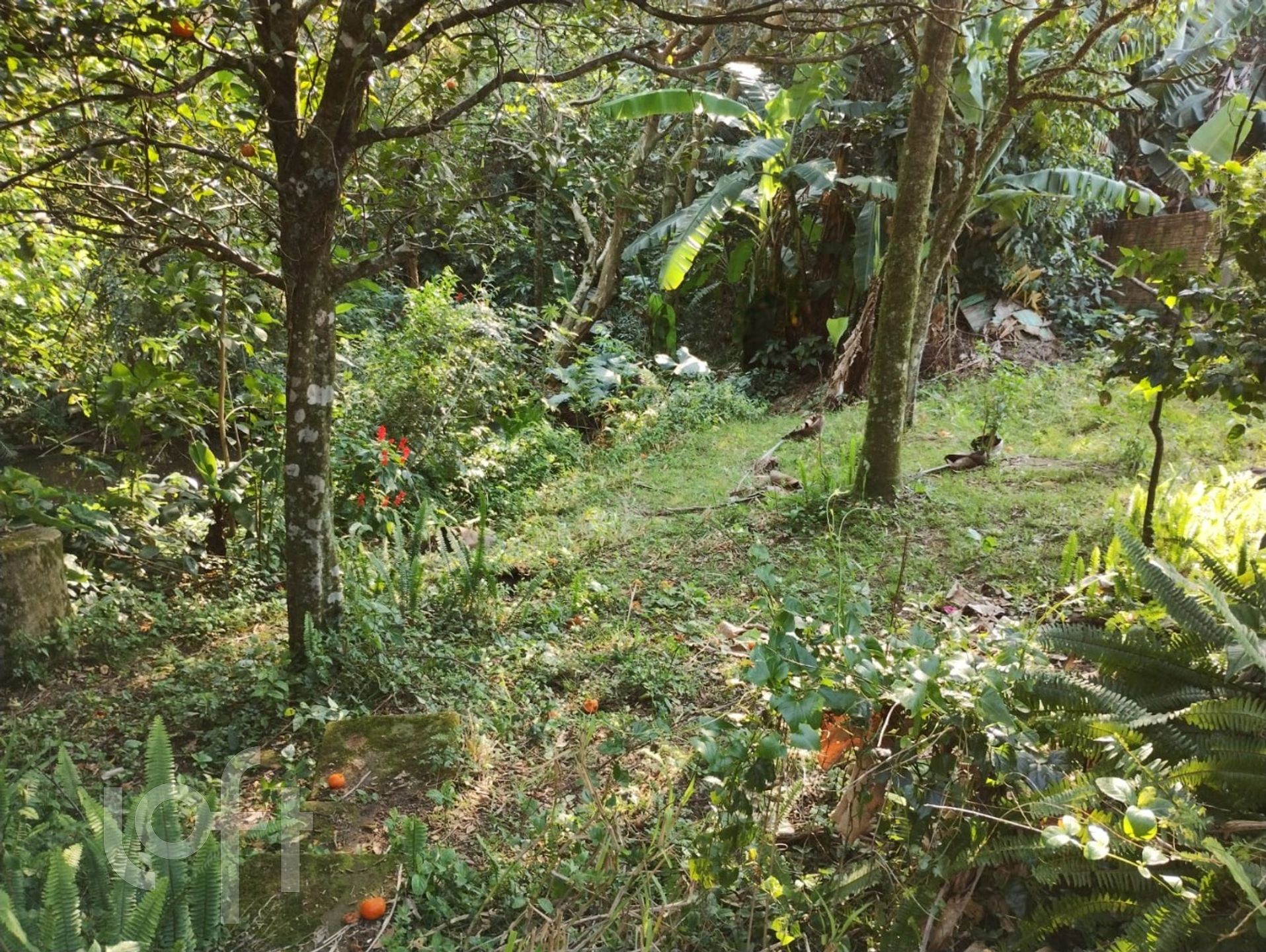 Imagem da propriedade 13