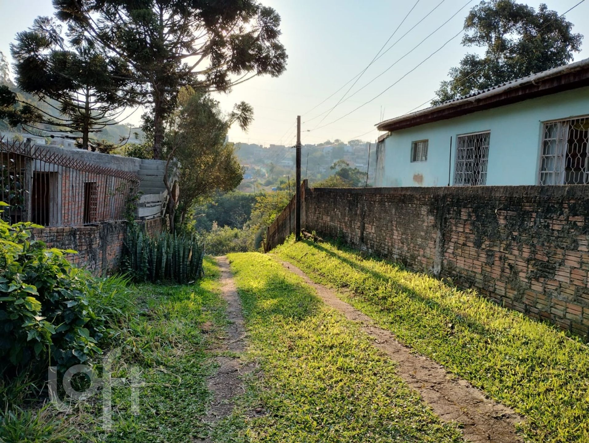 Imagem da propriedade 37