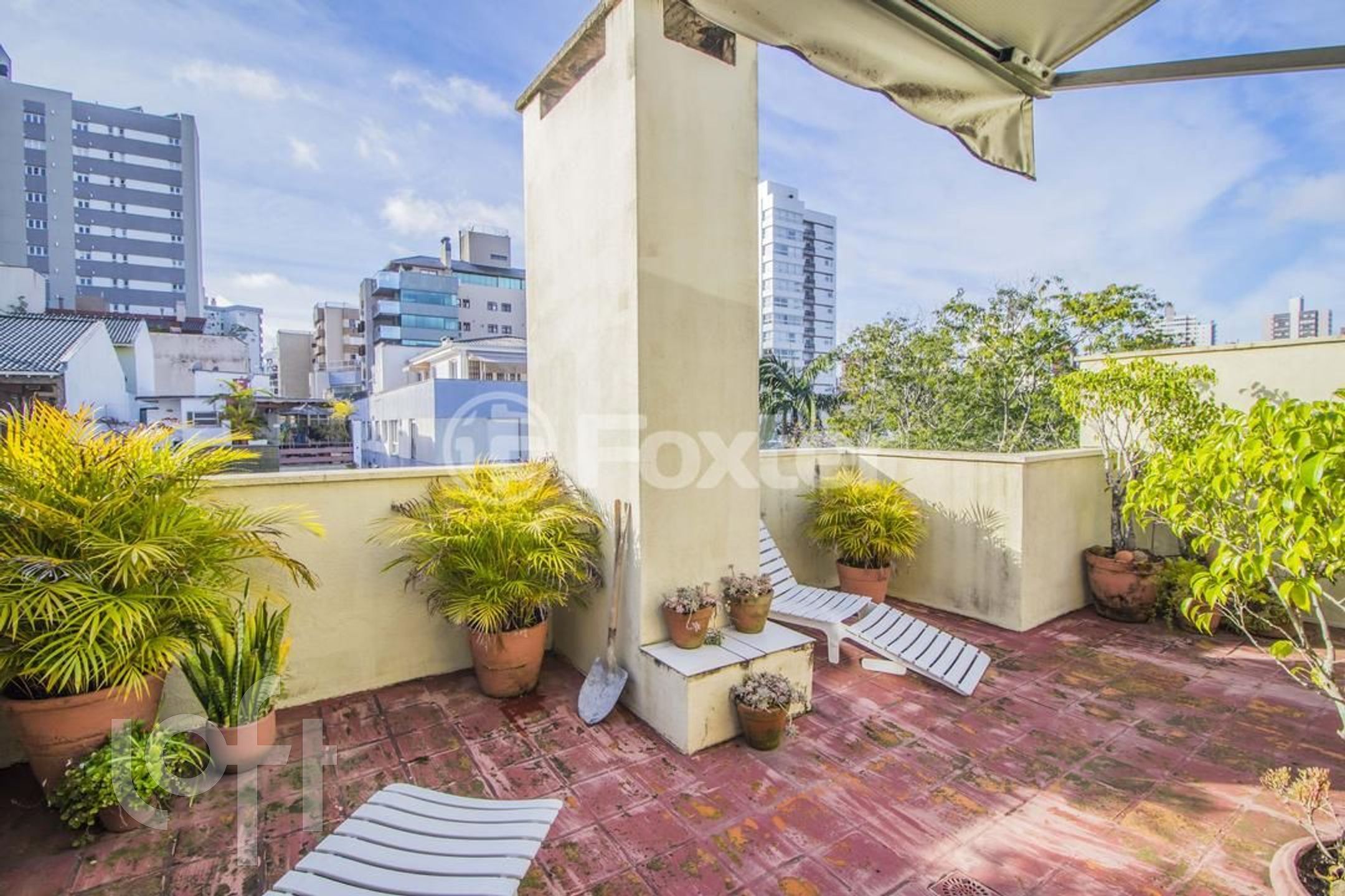 Imagem da propriedade 34