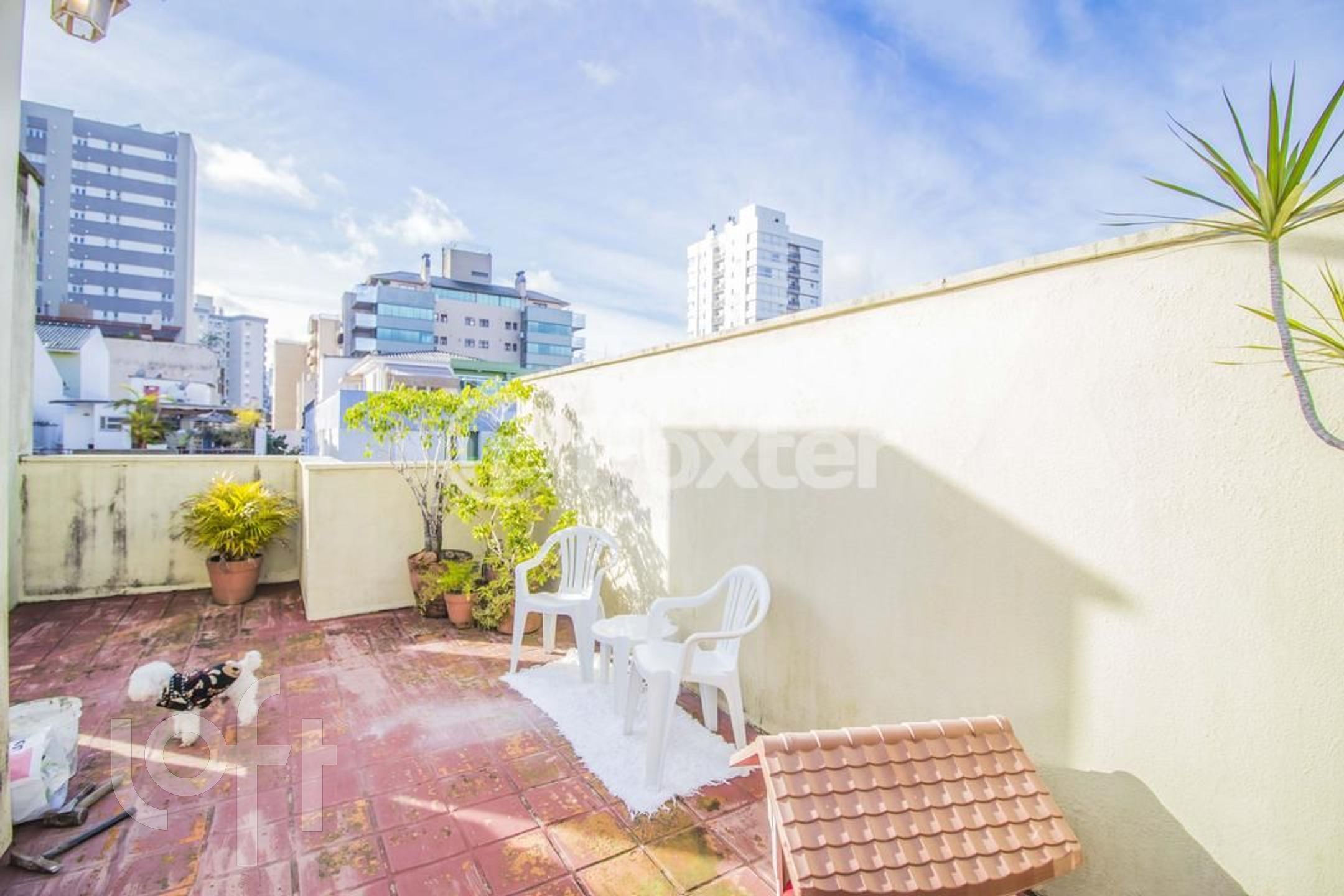 Imagem da propriedade 39