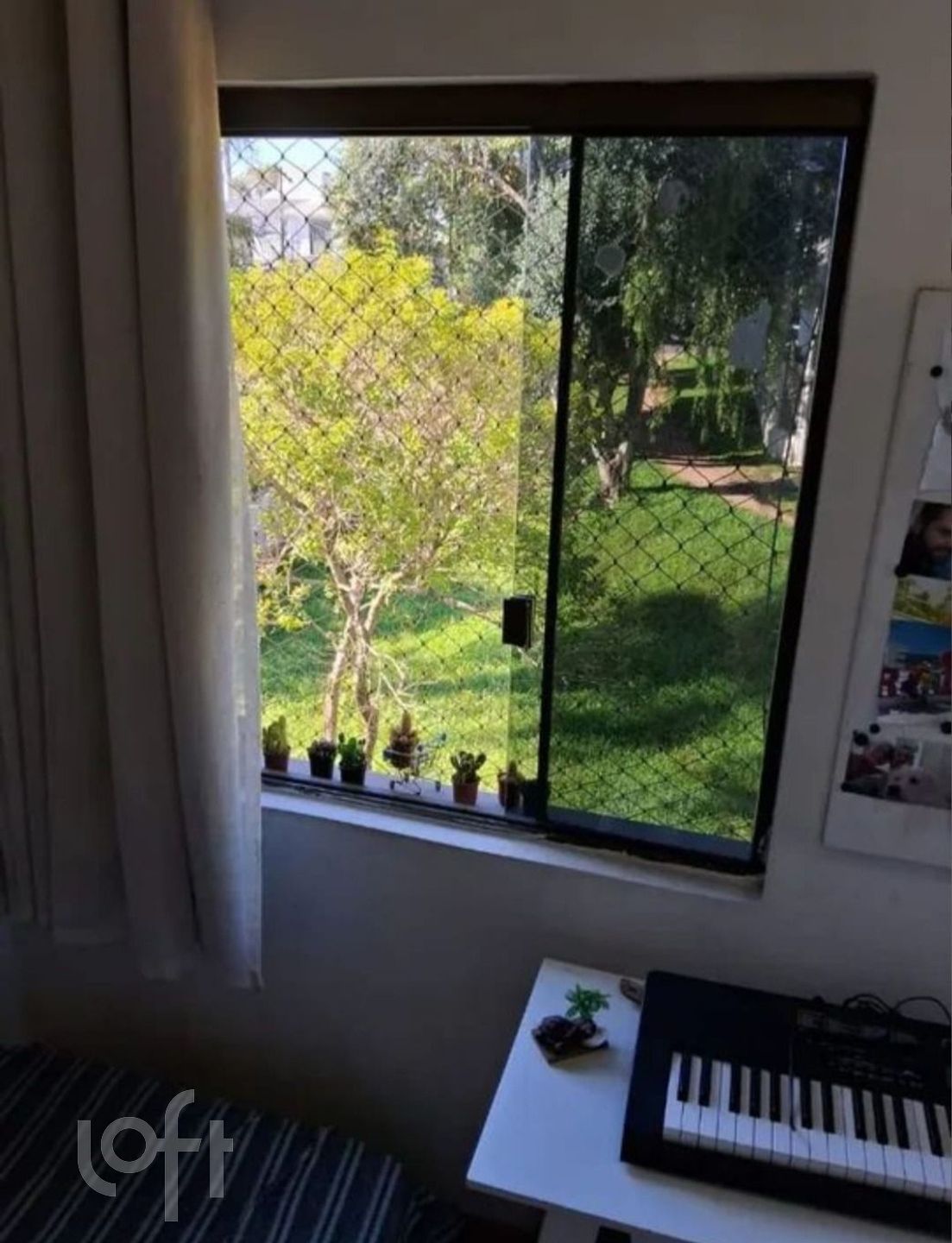 Imagem da propriedade 11