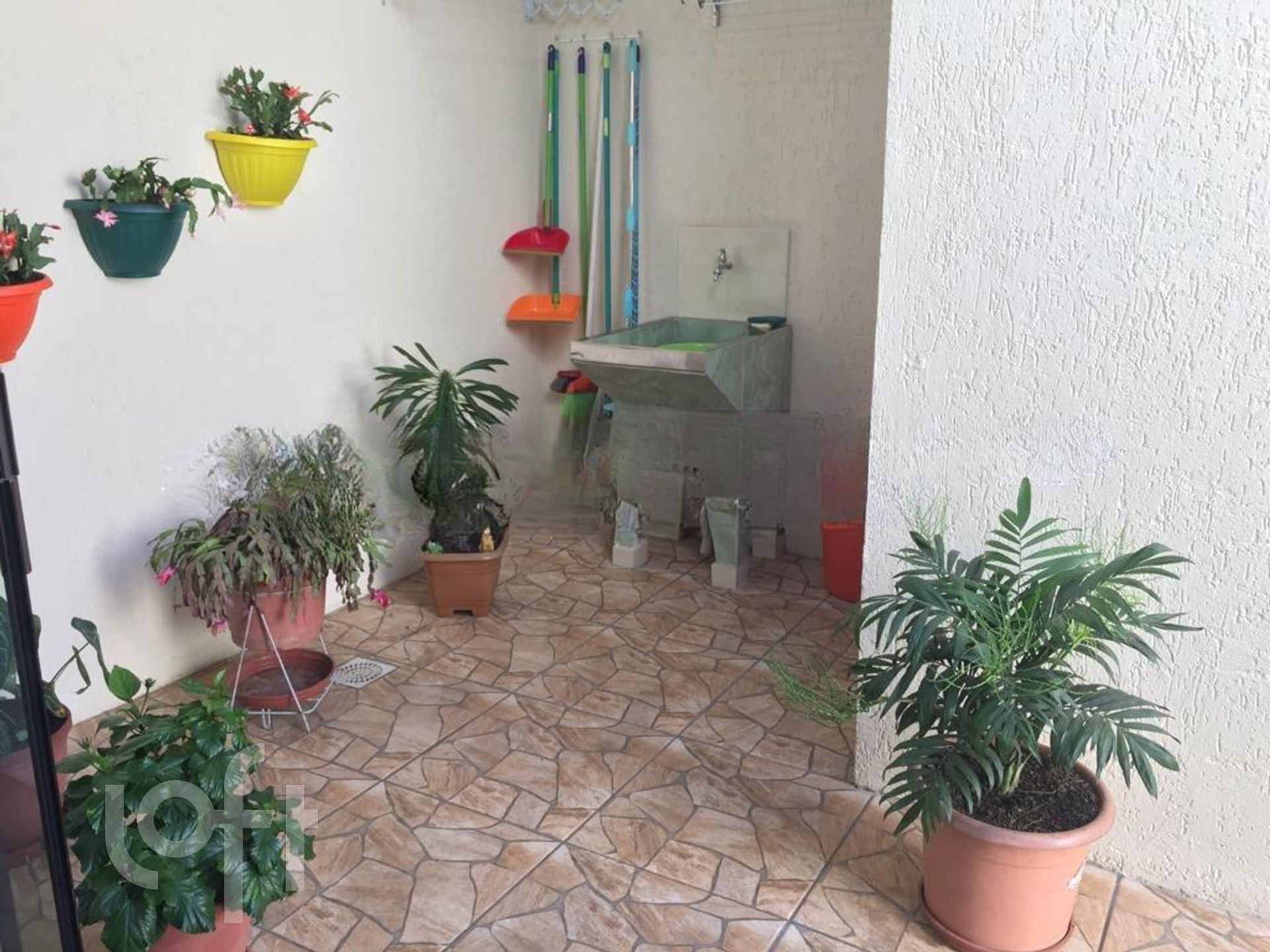 Imagem da propriedade 15