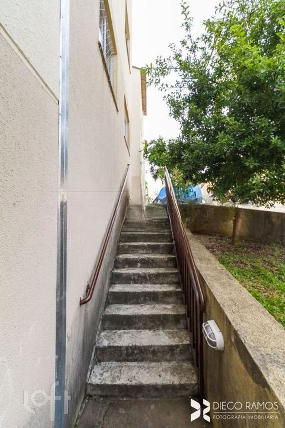 Imagem da propriedade 34