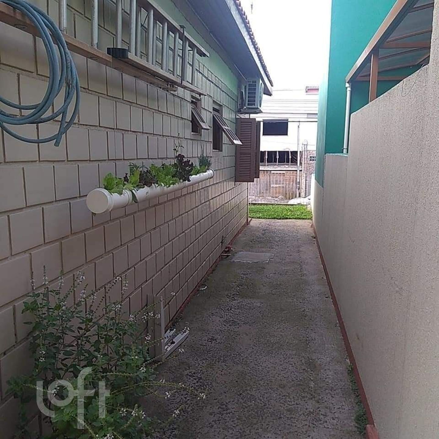 Imagem da propriedade 19