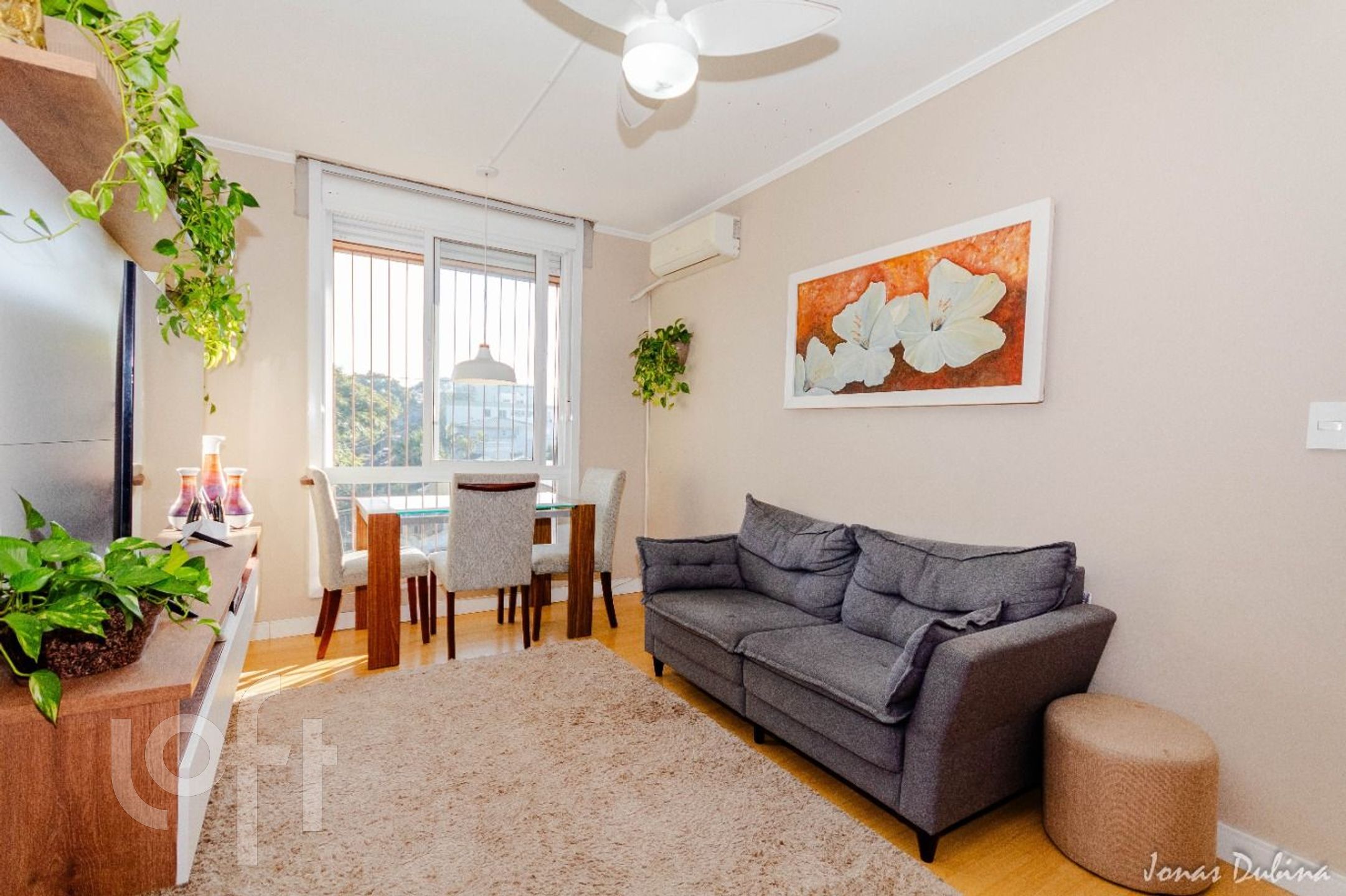 Imagem da propriedade 3