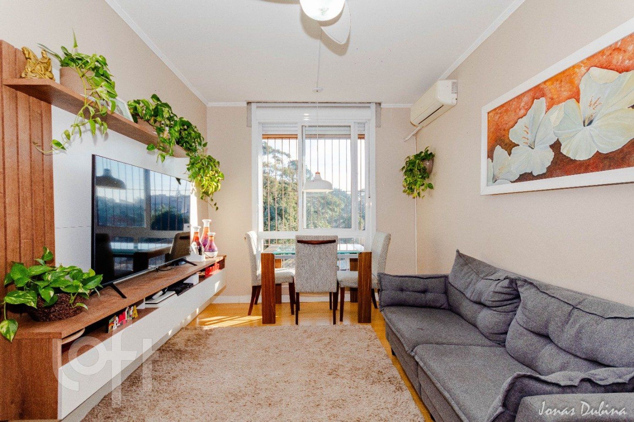 Imagem da propriedade 2