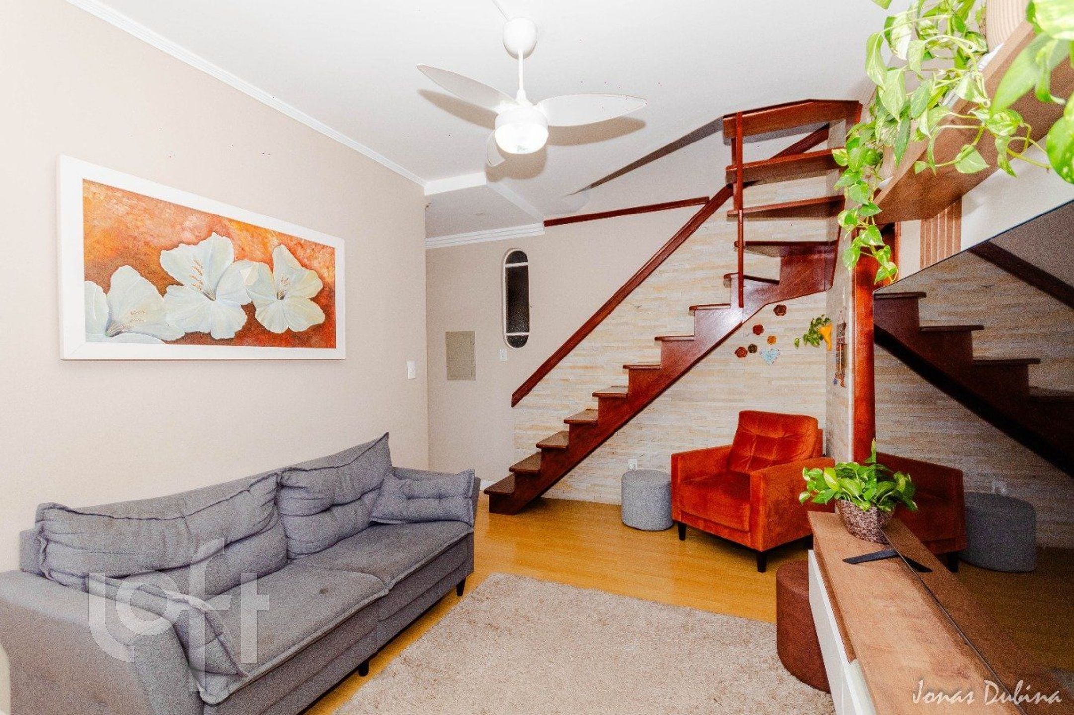 Imagem da propriedade 5