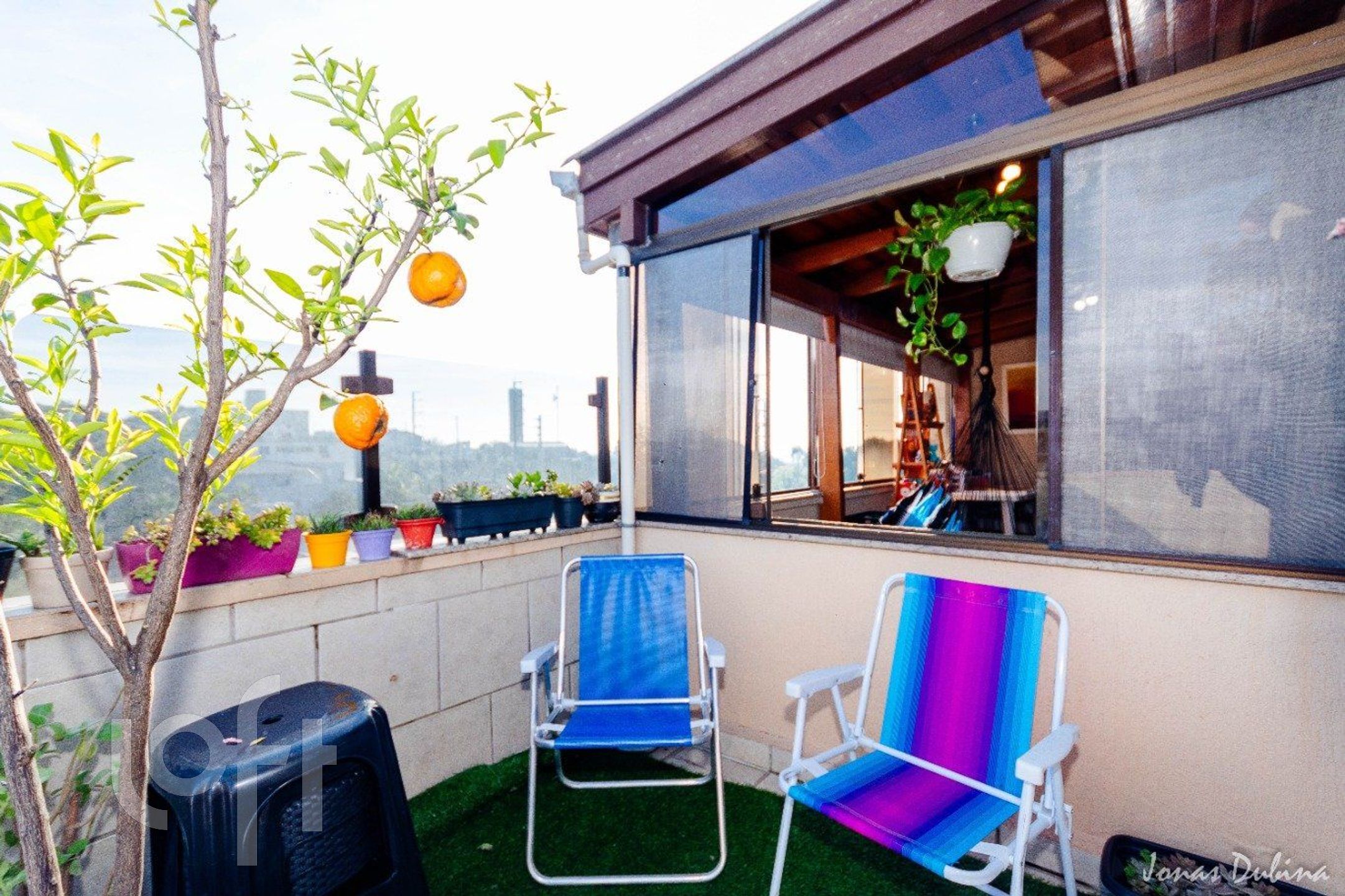 Imagem da propriedade 41