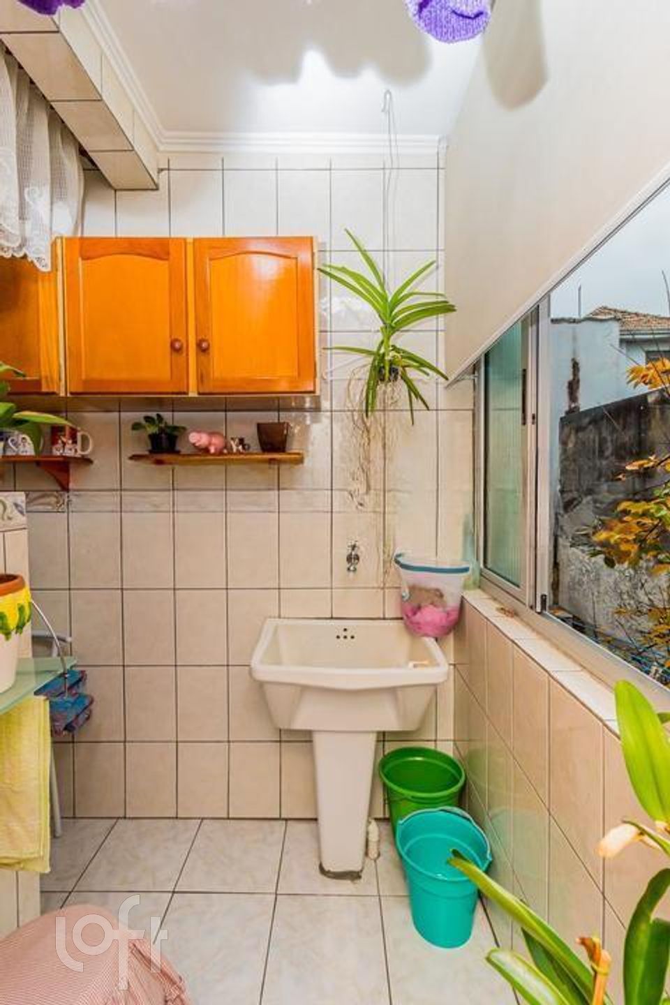 Imagem da propriedade 13