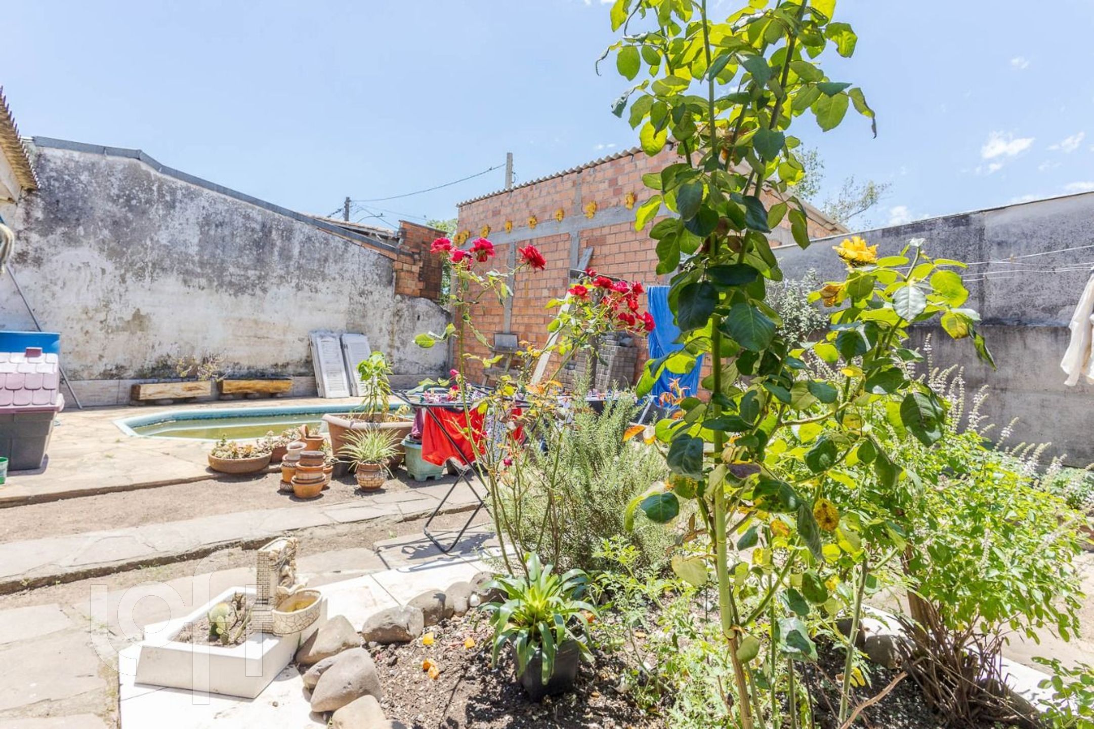 Imagem da propriedade 14