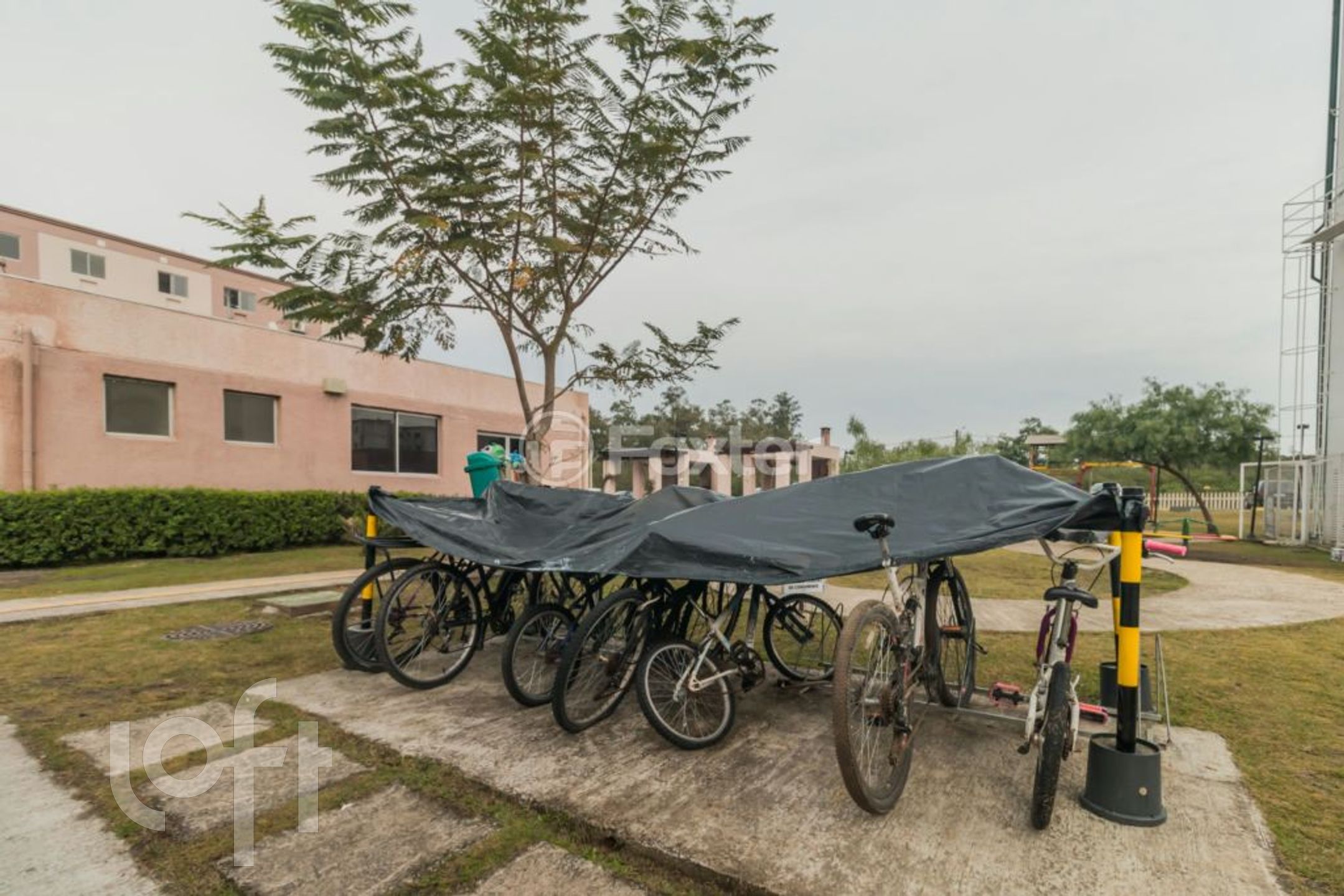 Imagem da propriedade 21