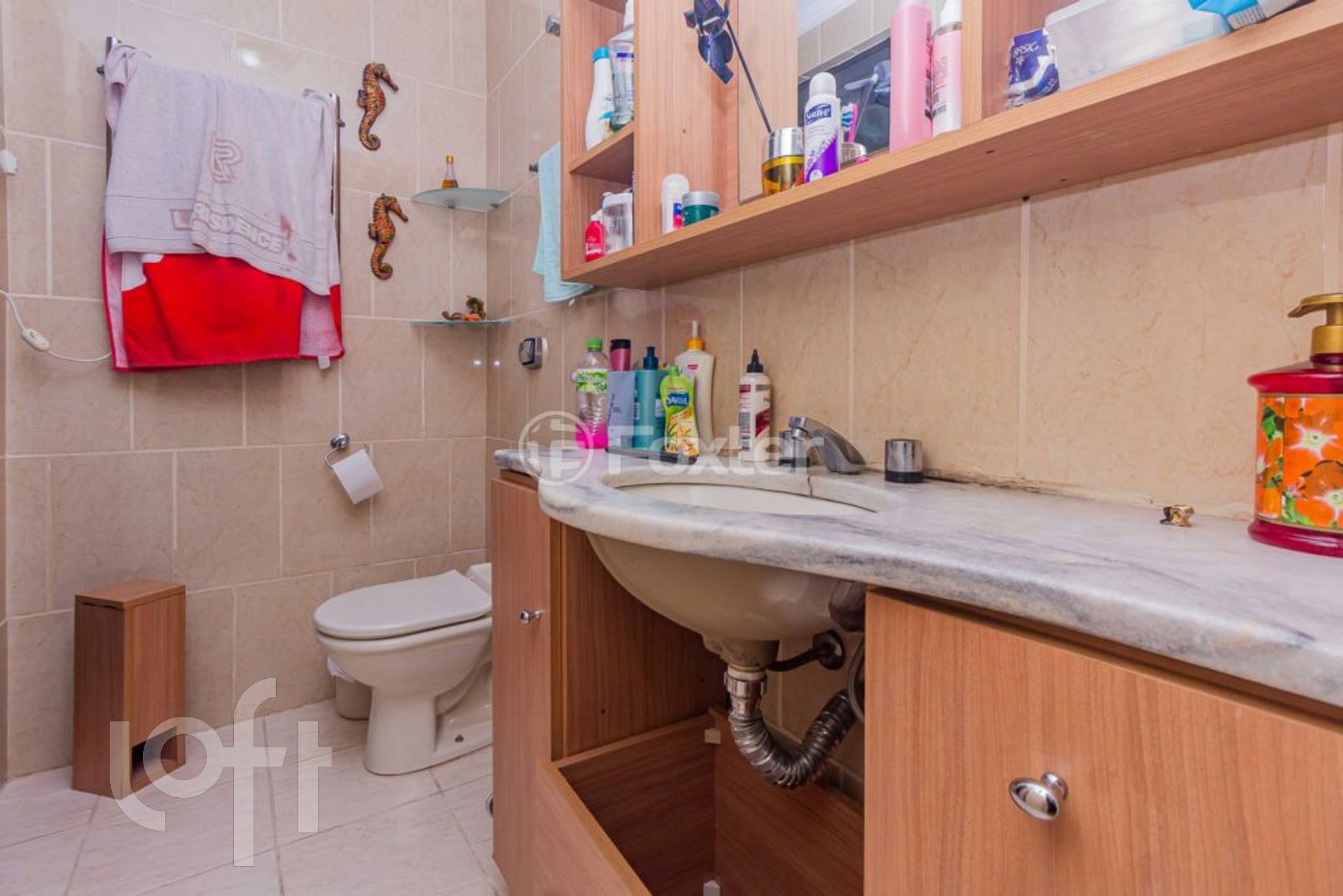 Imagem da propriedade 24