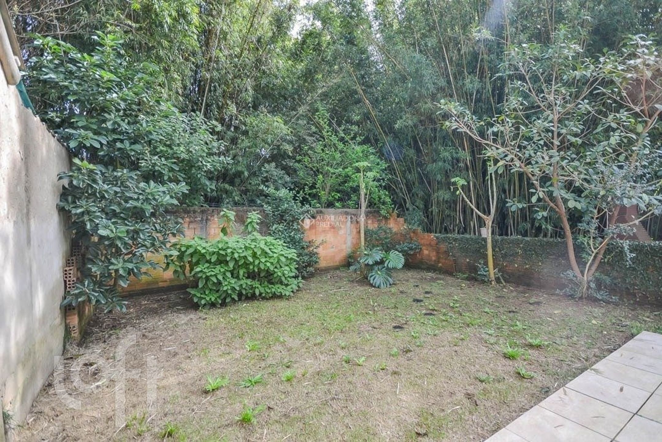 Imagem da propriedade 39