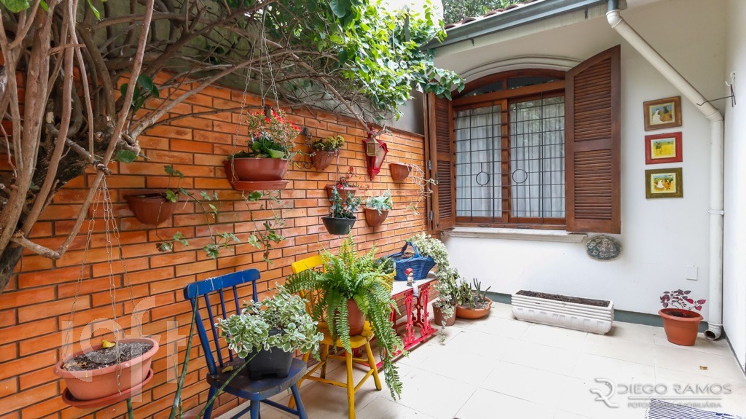 Imagem da propriedade 26