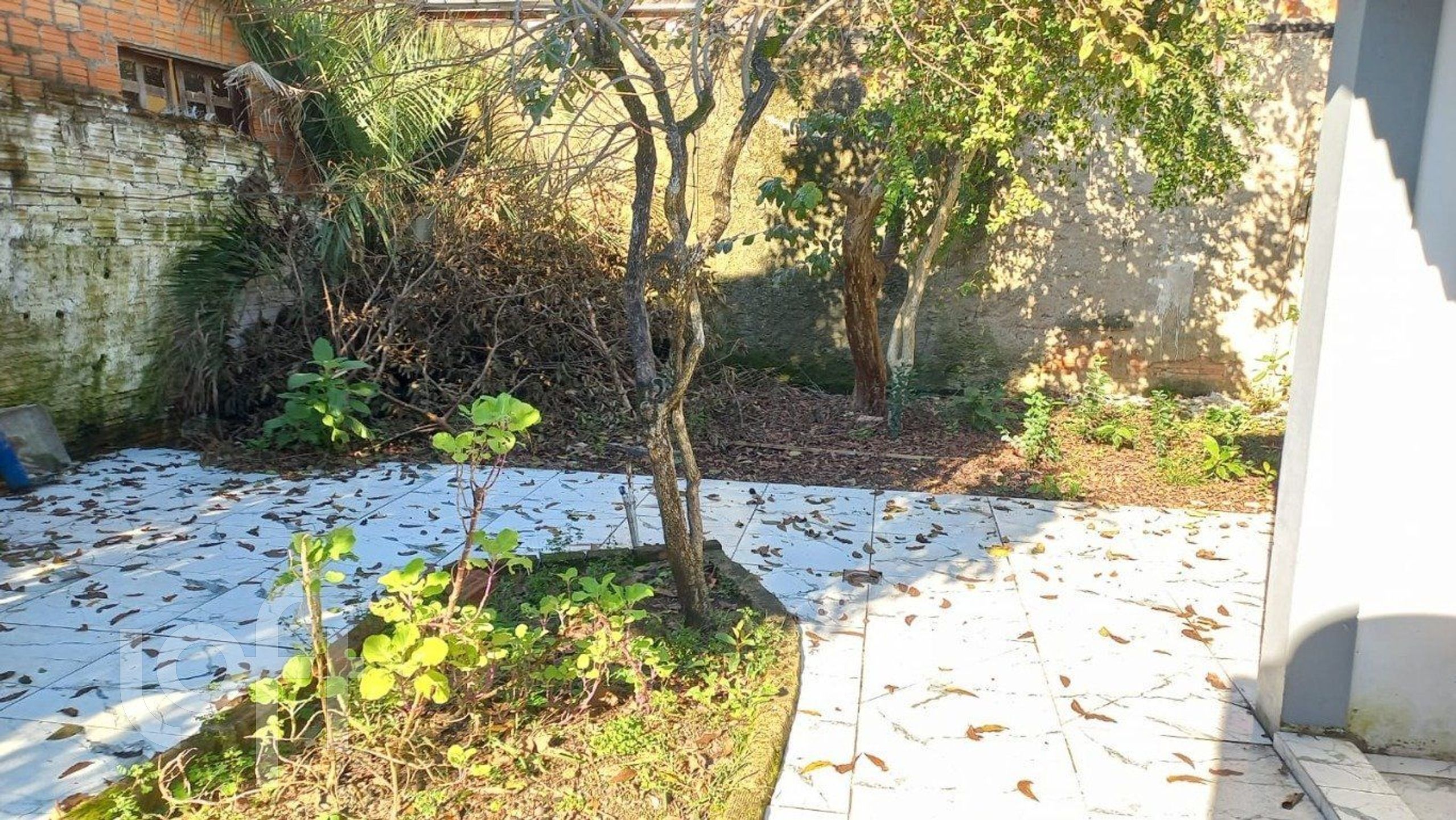 Imagem da propriedade 14