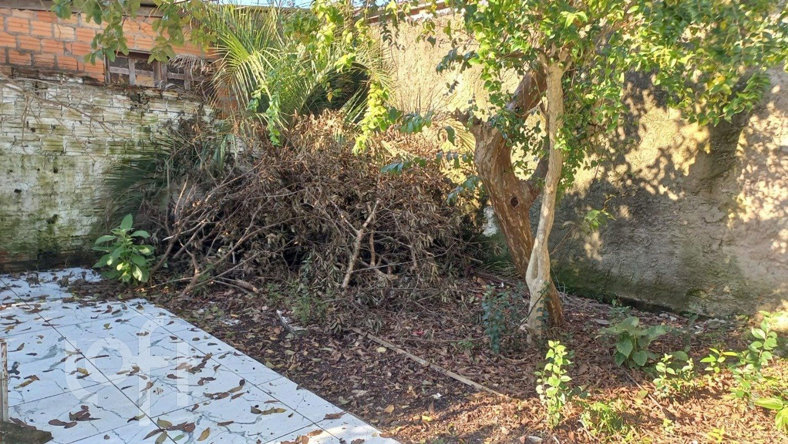 Imagem da propriedade 26