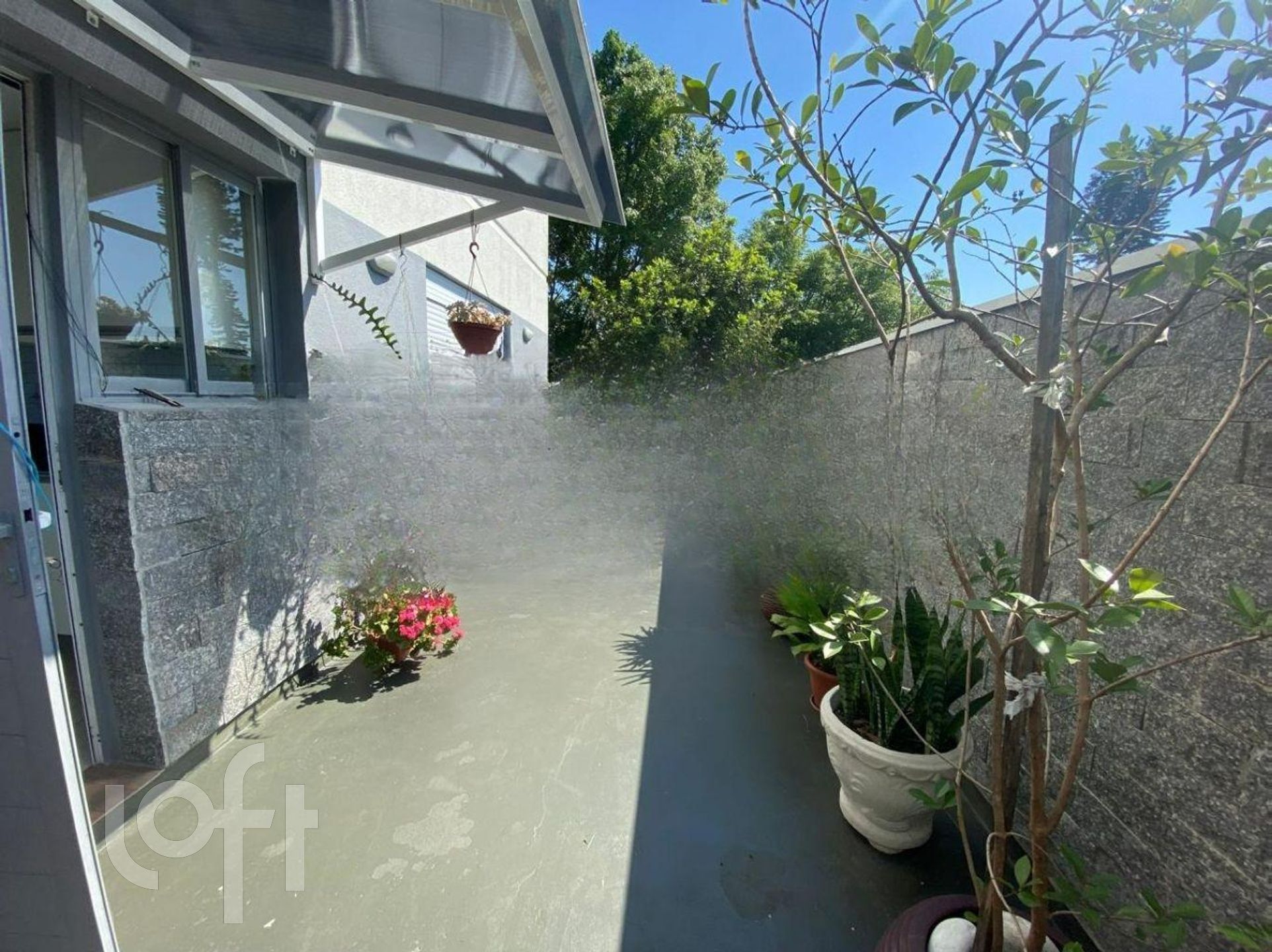 Imagem da propriedade 9