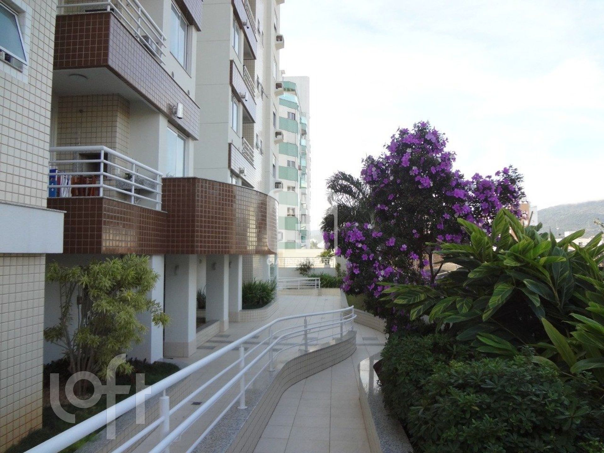 Imagem da propriedade 3