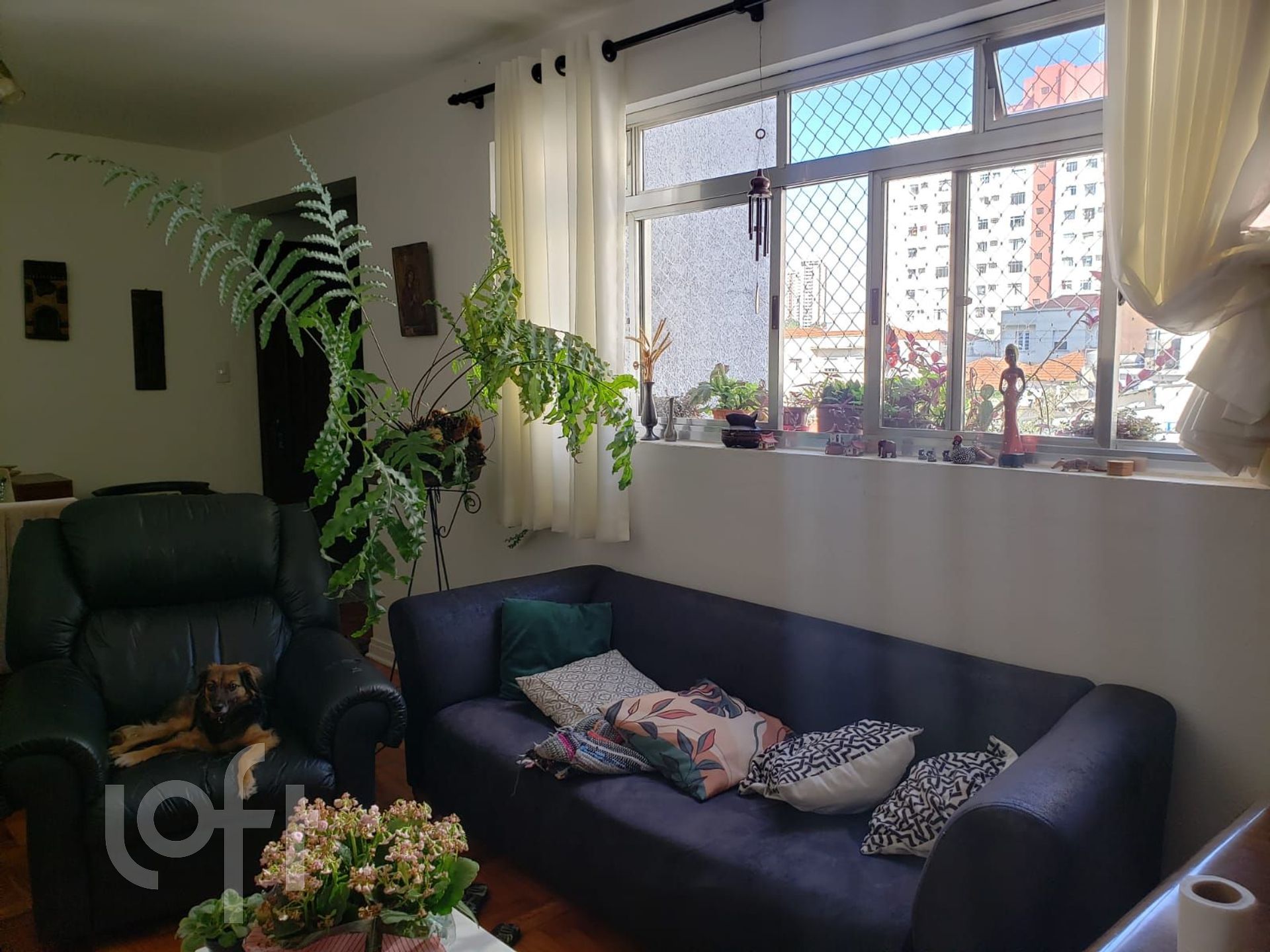 Apartamento à venda em Aclimação com 75 m², 2 quar