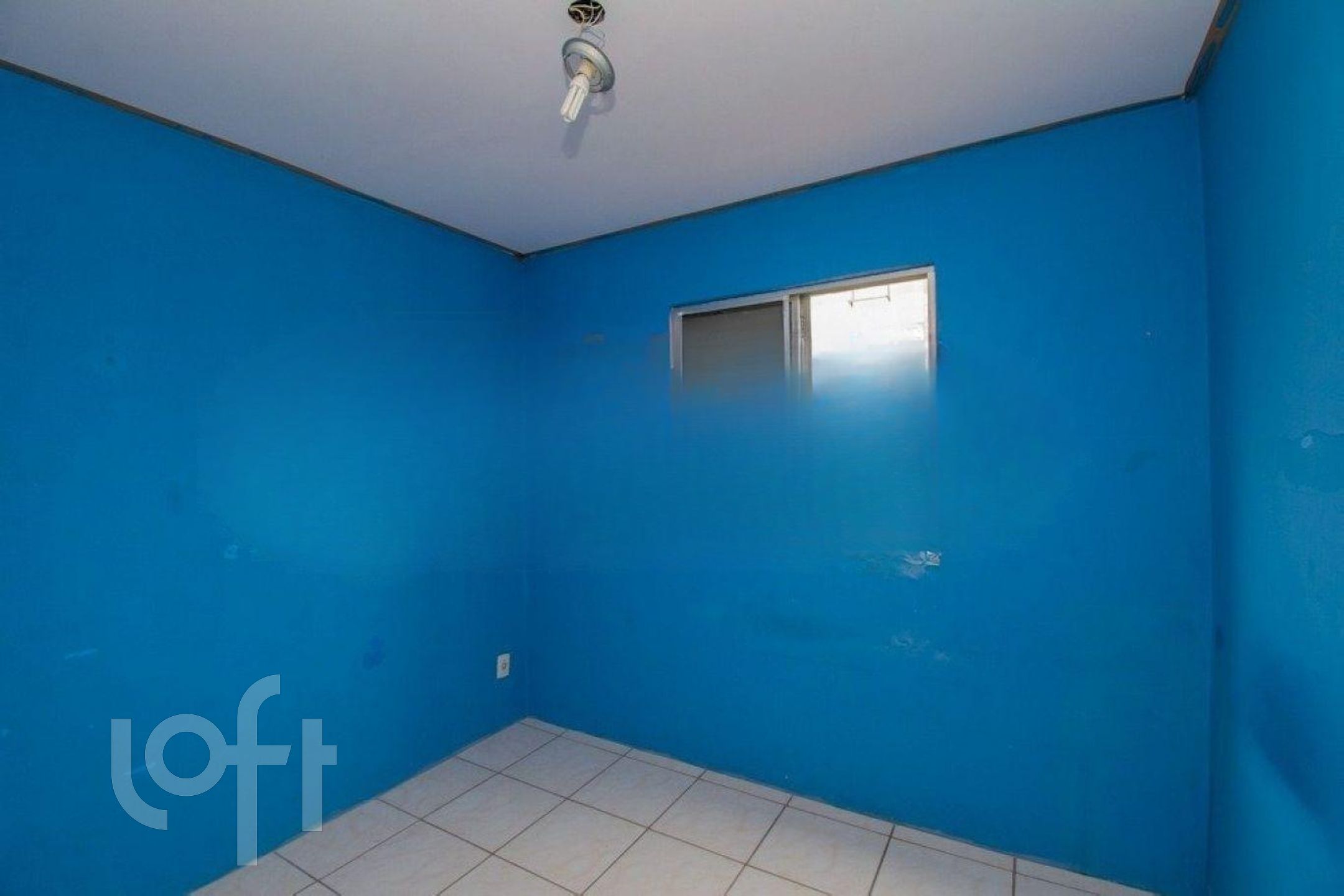 Imagem da propriedade 8