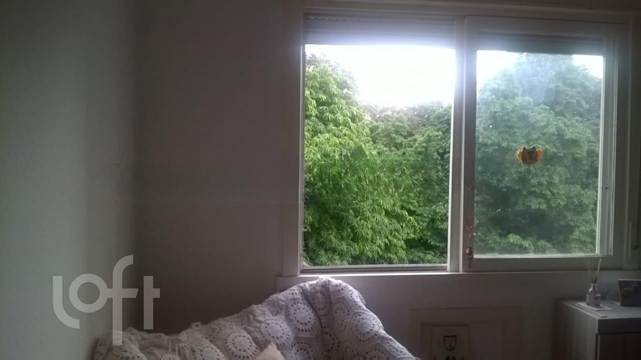 Imagem da propriedade 6