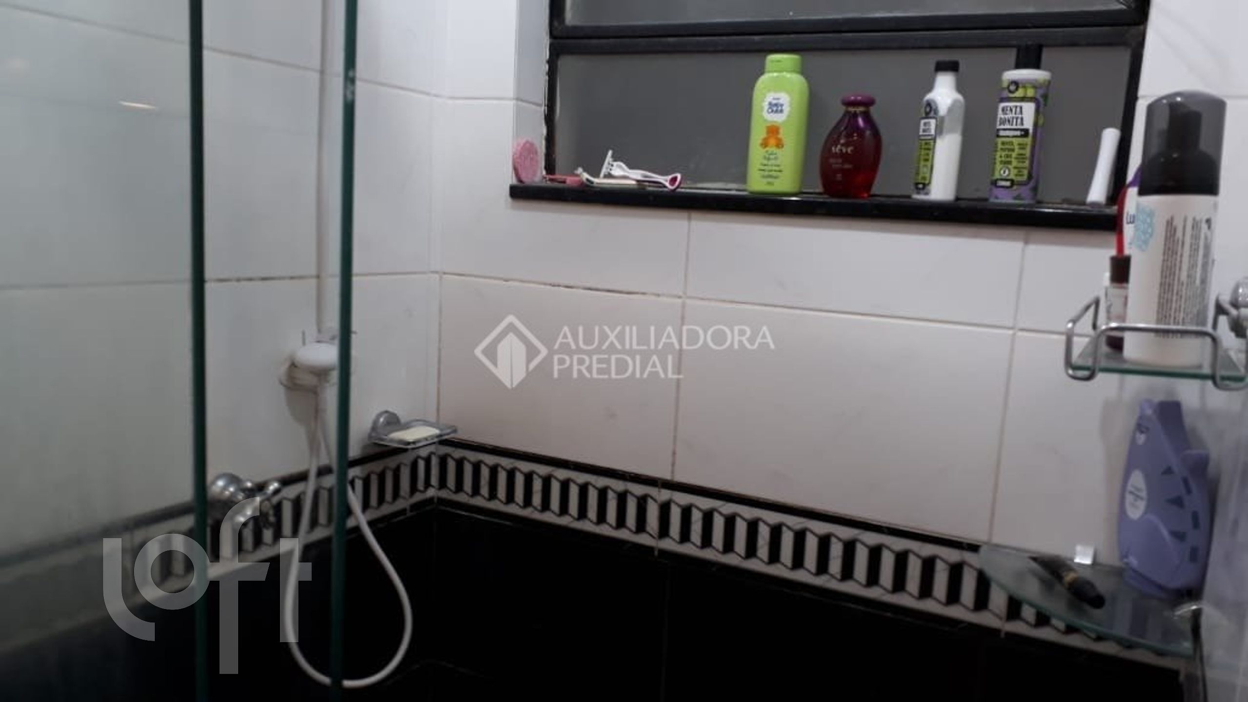 Imagem da propriedade 12