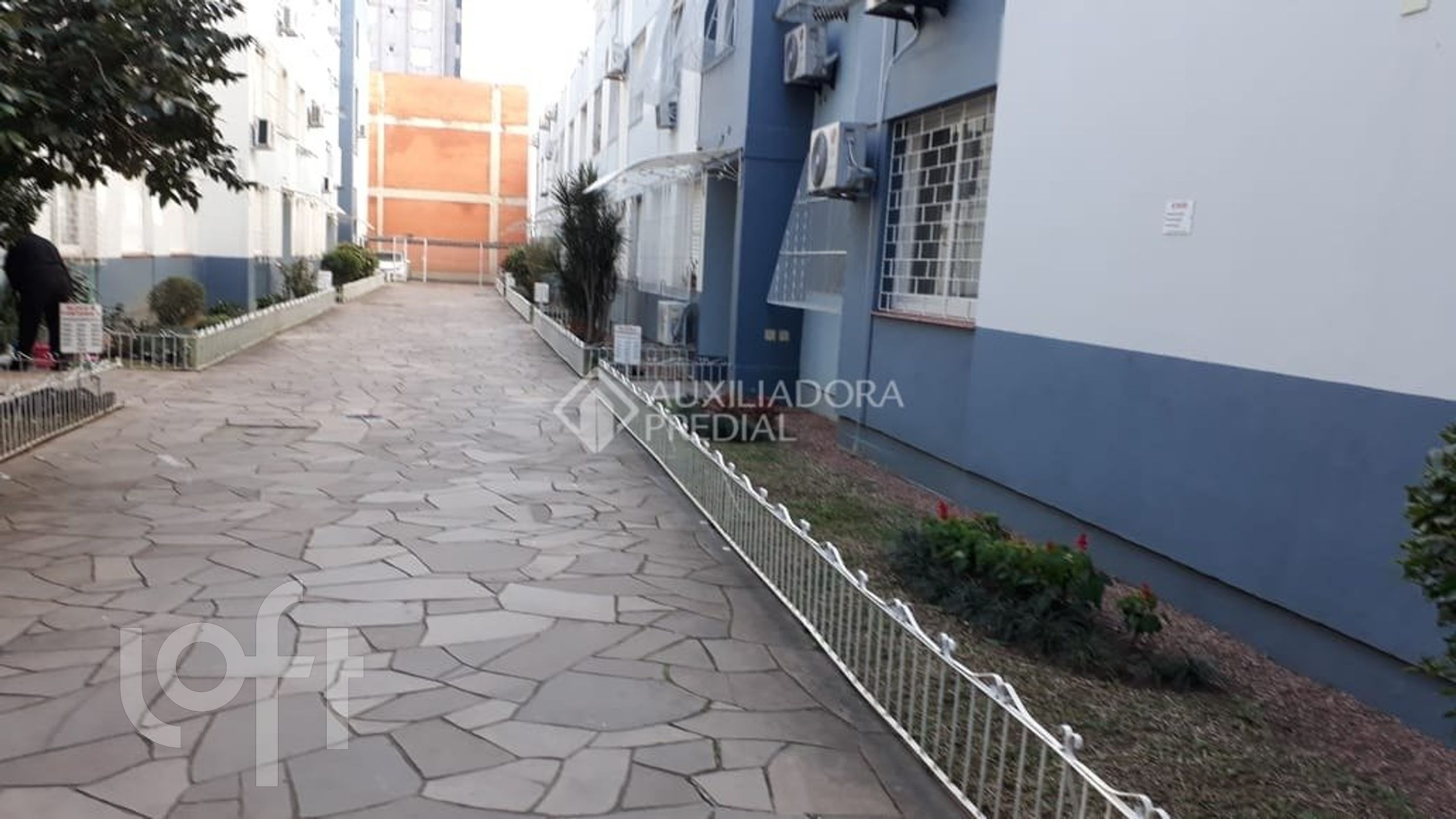 Imagem da propriedade 15