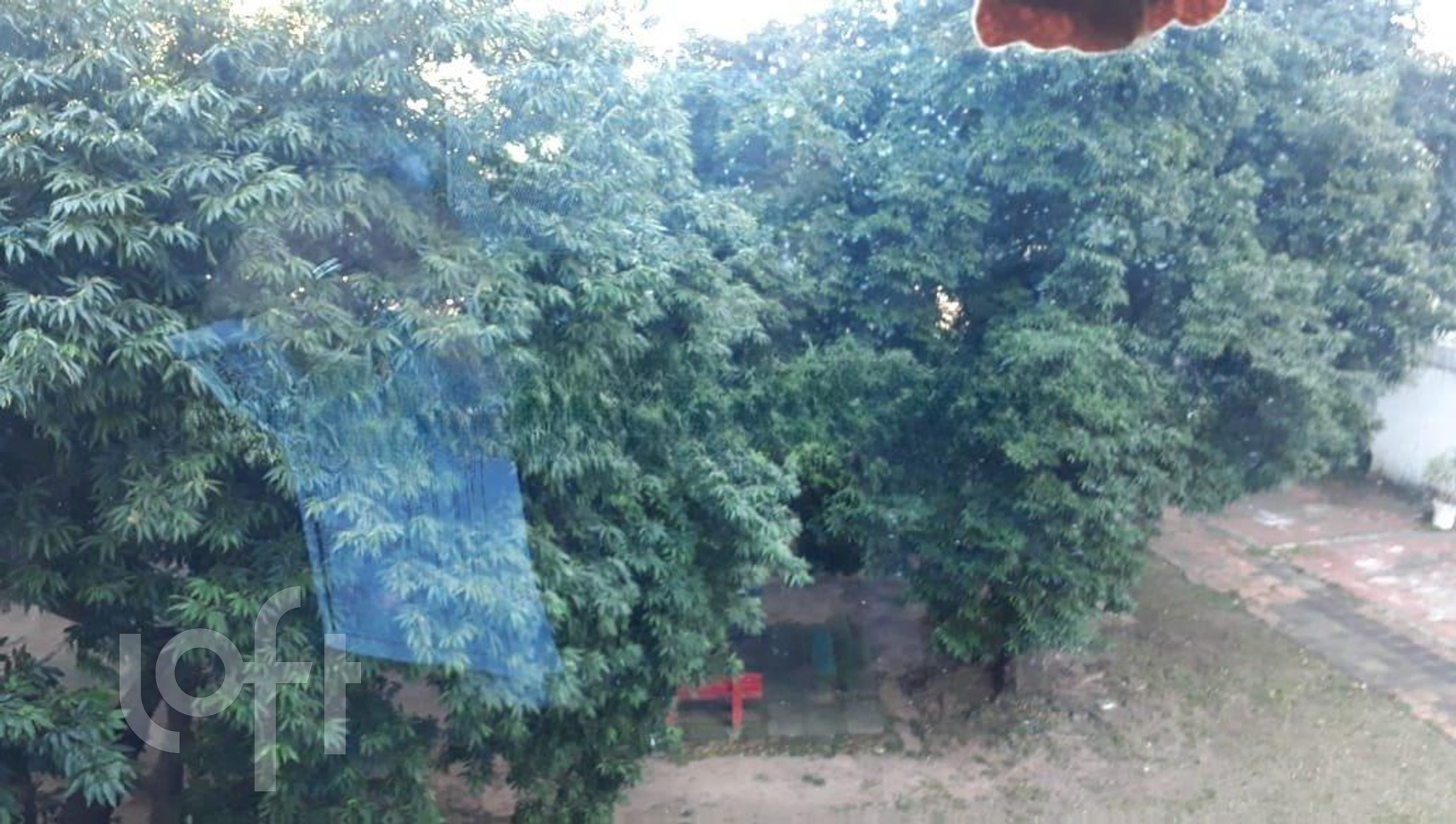 Imagem da propriedade 16