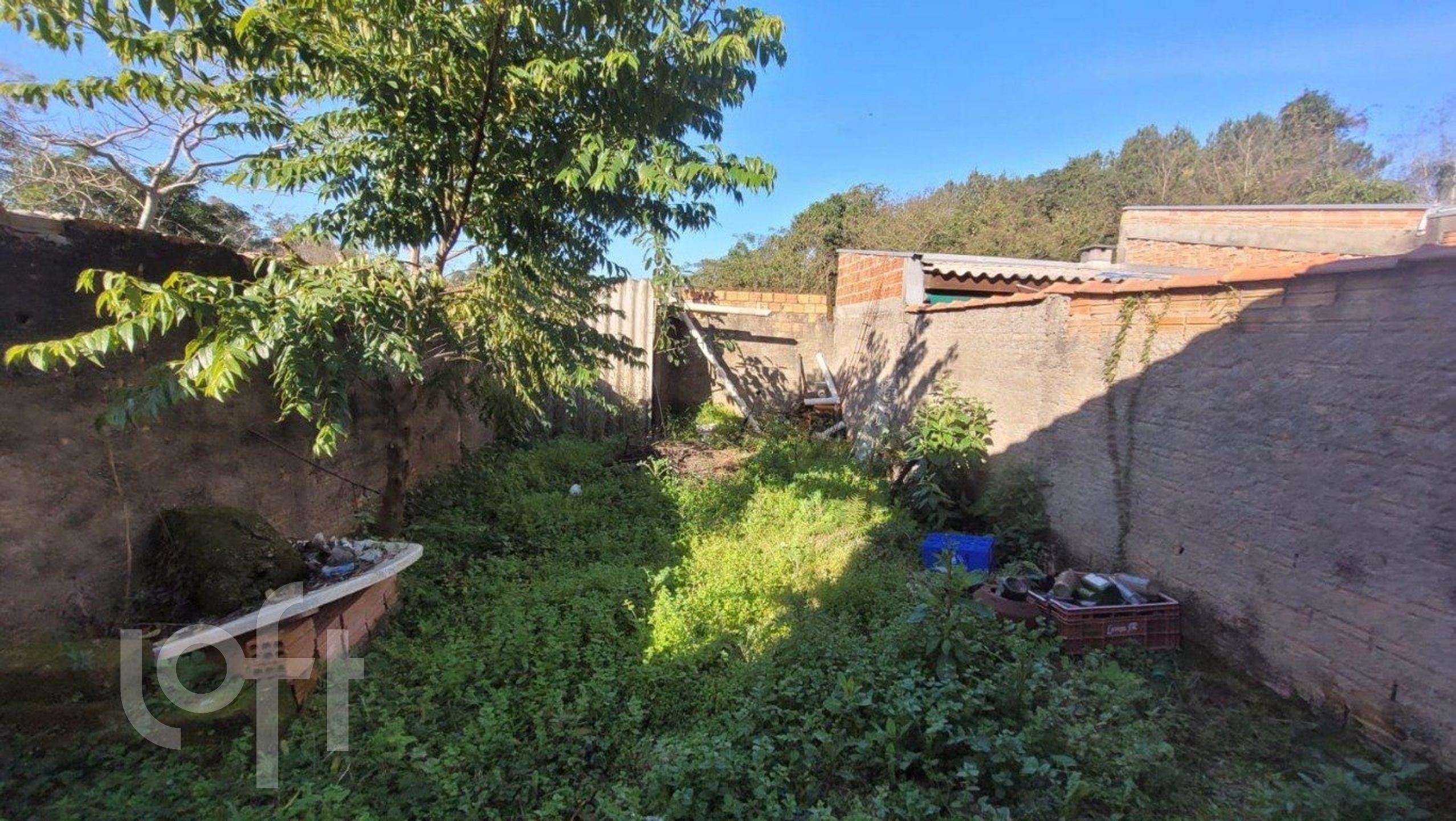 Imagem da propriedade 25