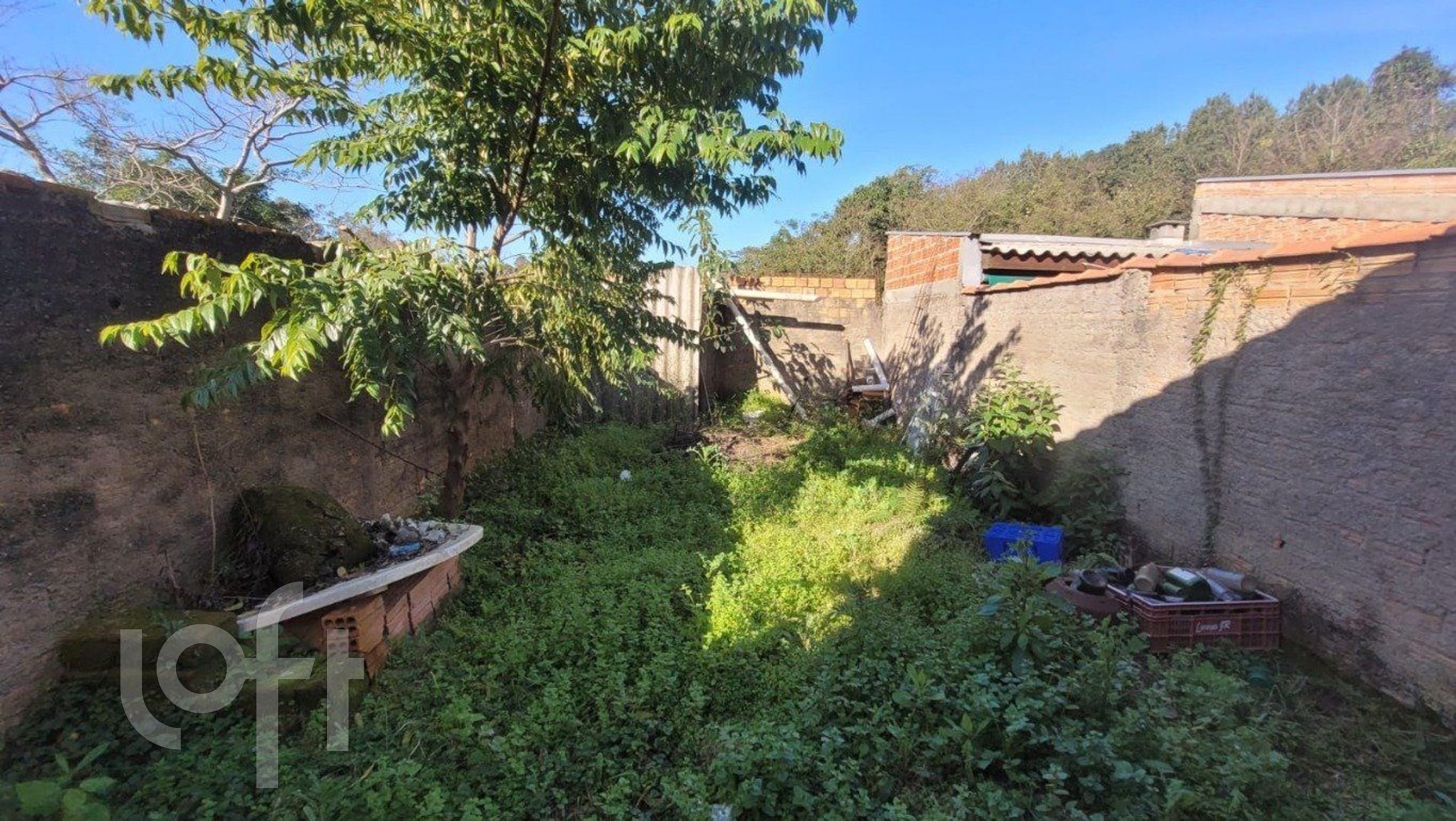 Imagem da propriedade 24