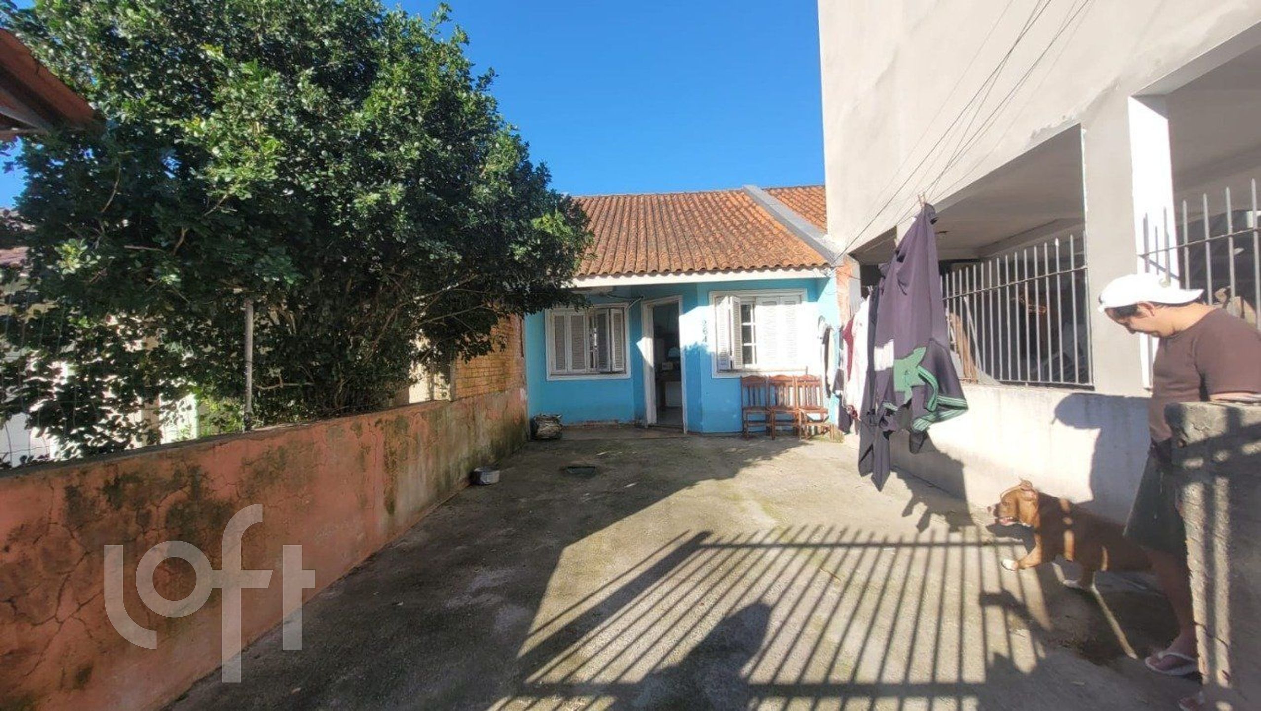 Imagem da propriedade 21