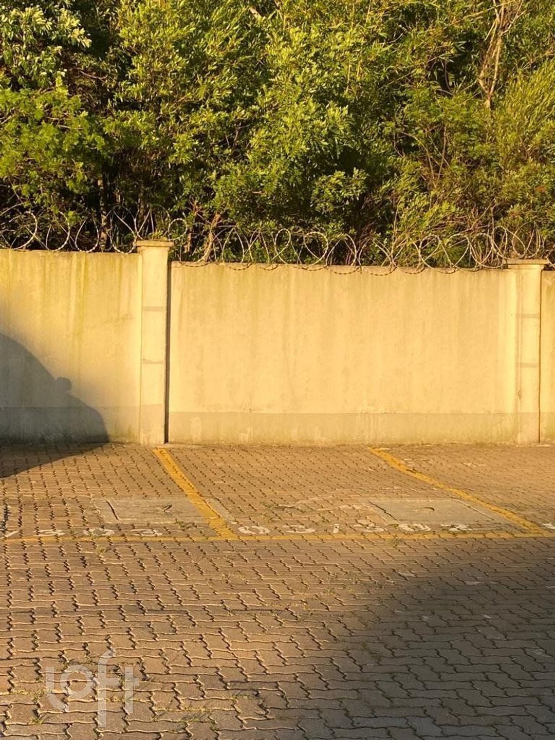 Imagem da propriedade 16