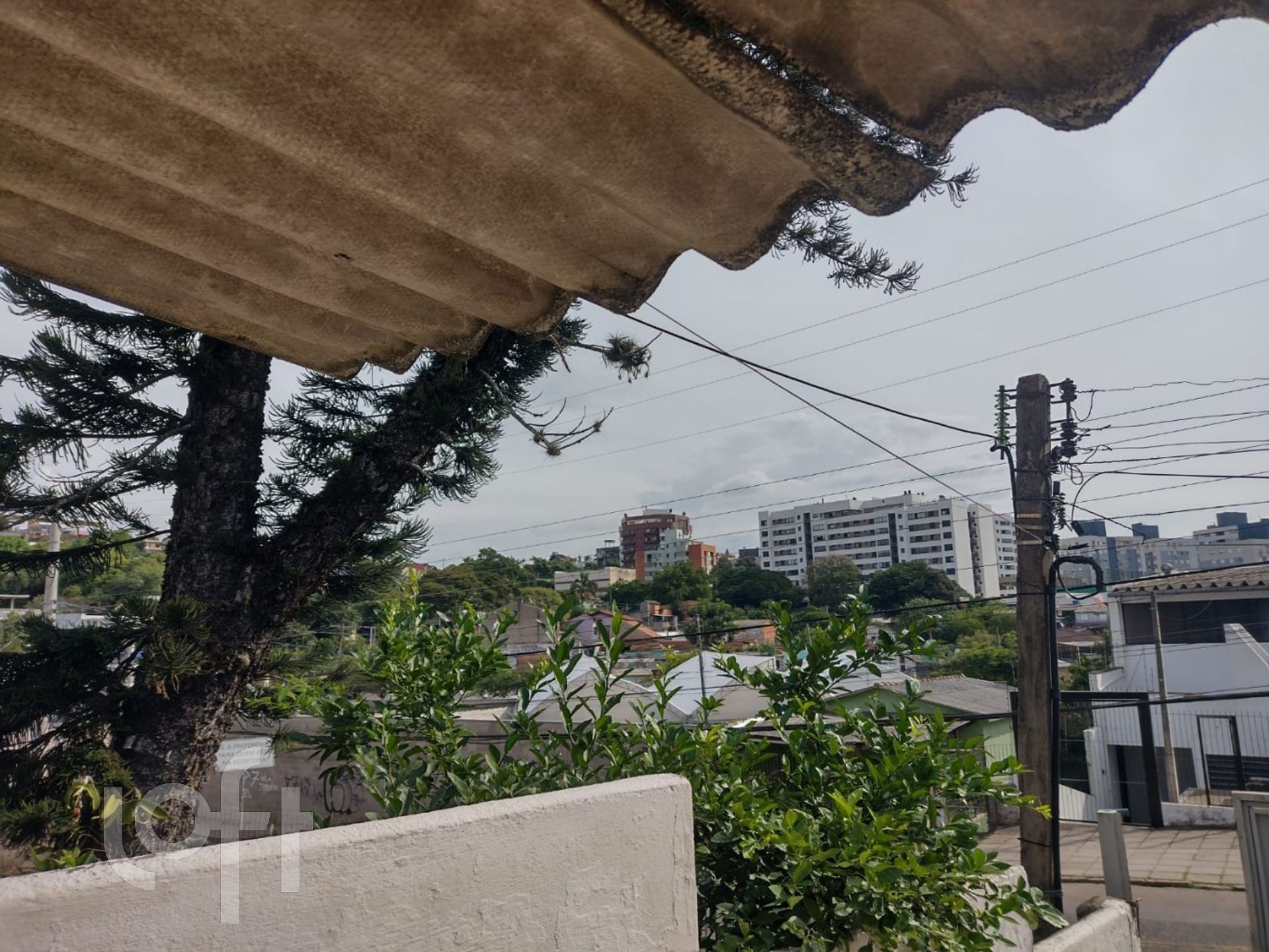 Imagem da propriedade 3