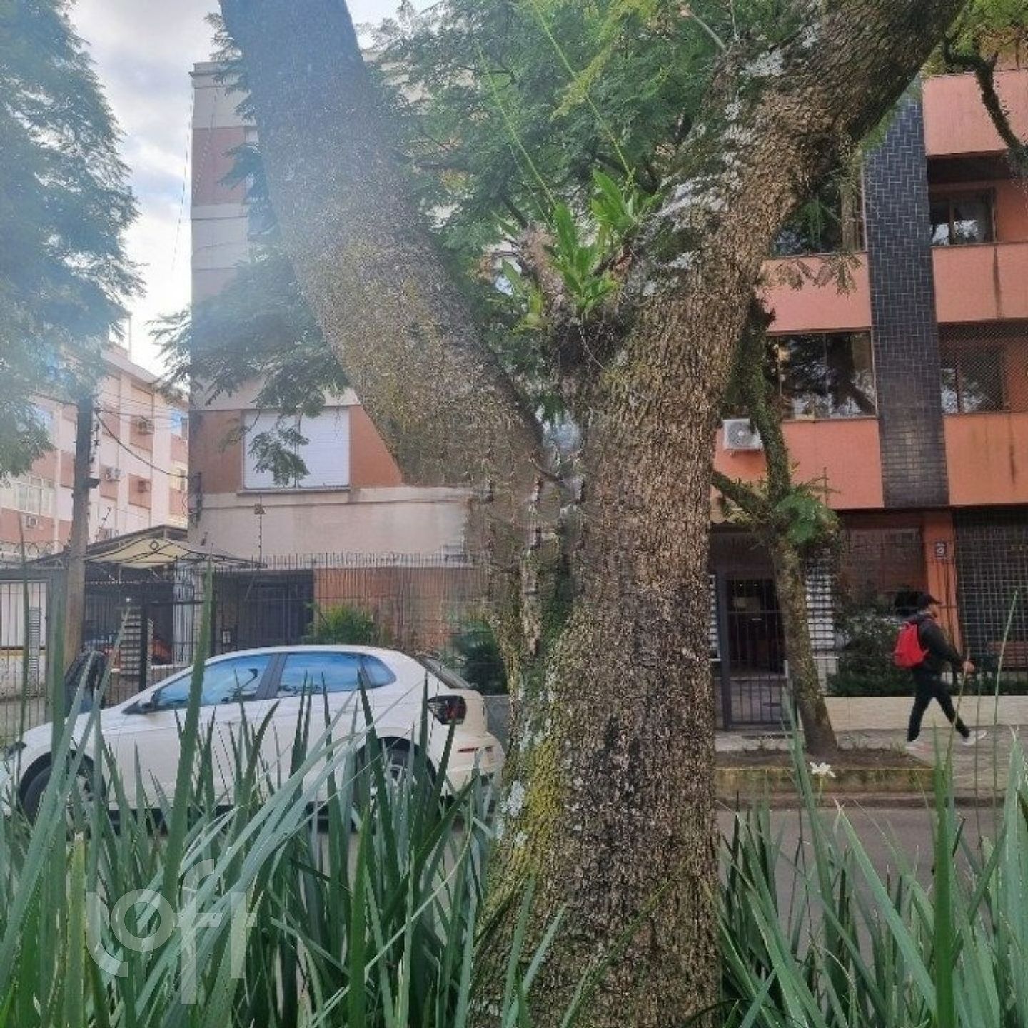 Imagem da propriedade 21