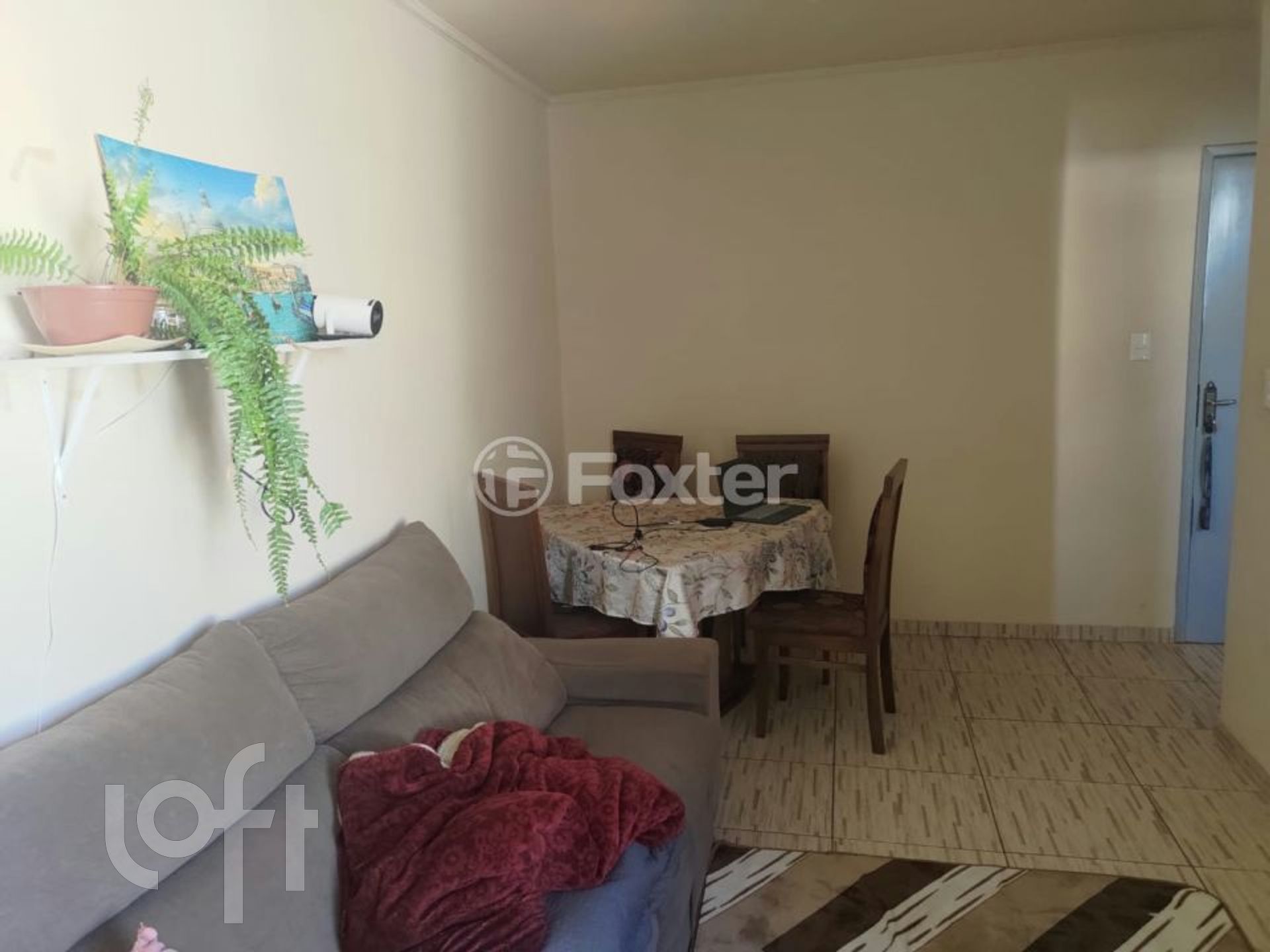 Imagem da propriedade 9