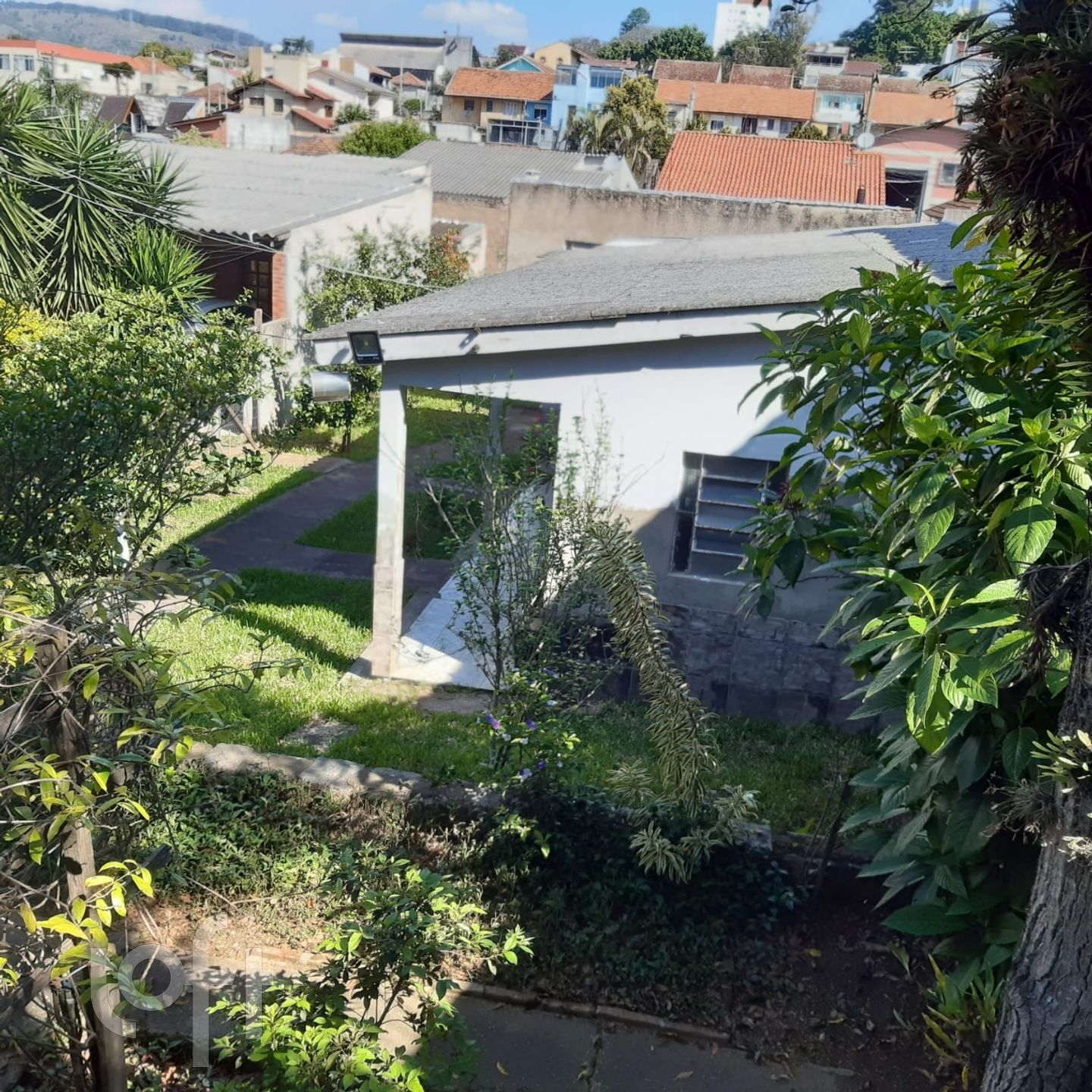 Imagem da propriedade 6