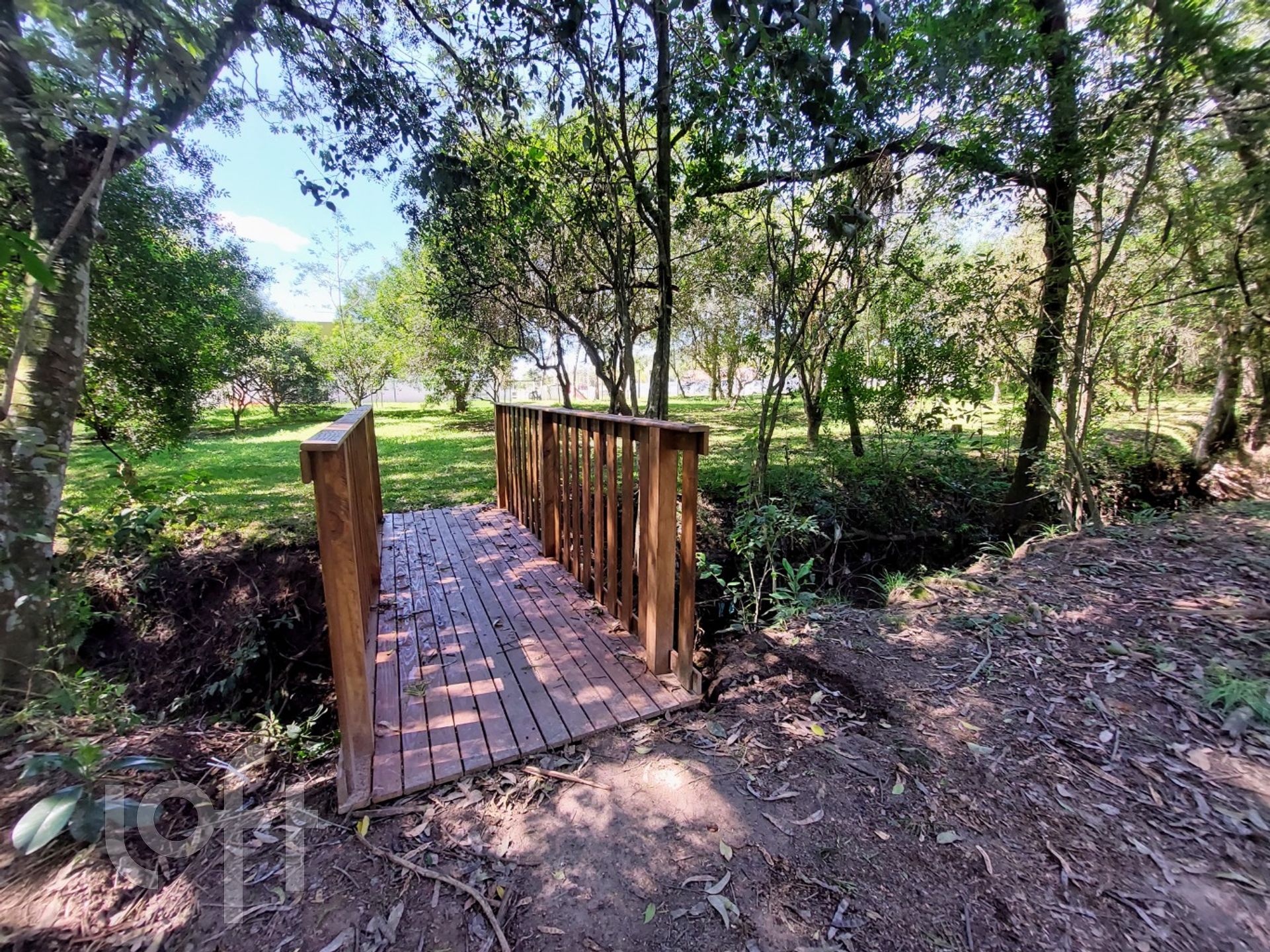 Imagem da propriedade 36